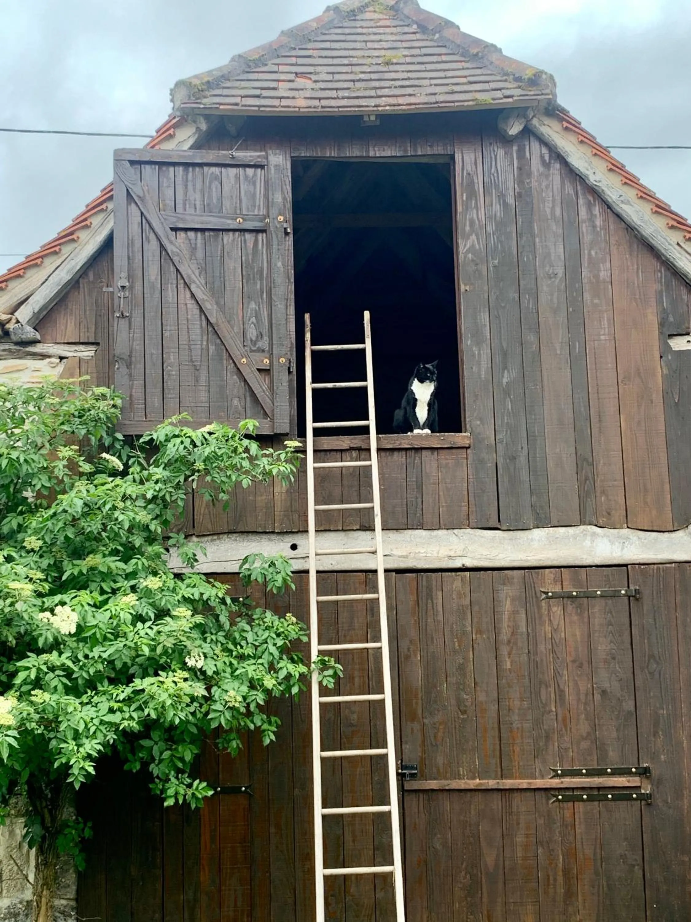 Patio in Chambres d'hôtes Pech Blanc