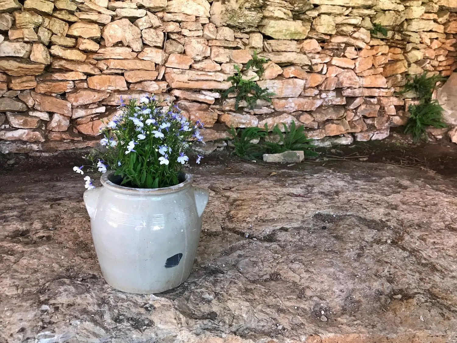 Property building in Chambres d'hôtes Pech Blanc