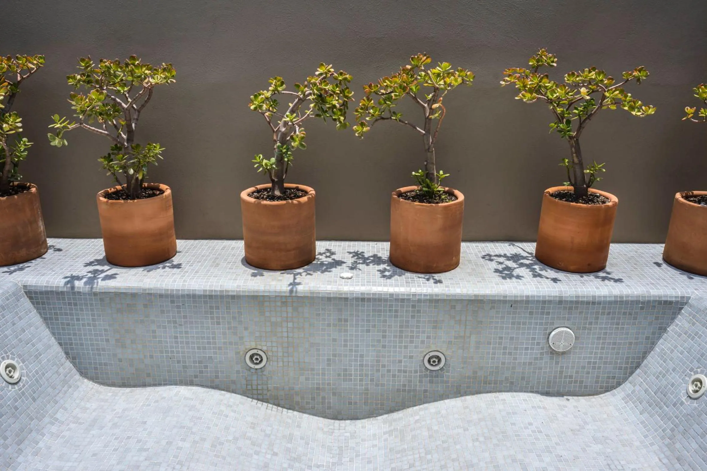 Balcony/Terrace in Hotel Criol