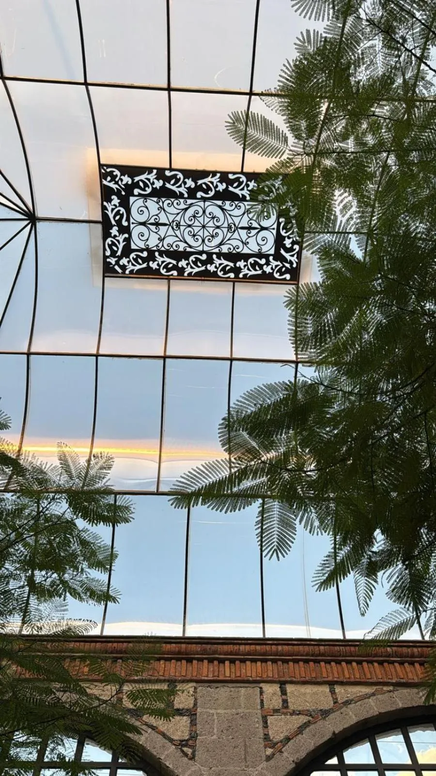 Restaurant/places to eat in Hacienda San Patricio