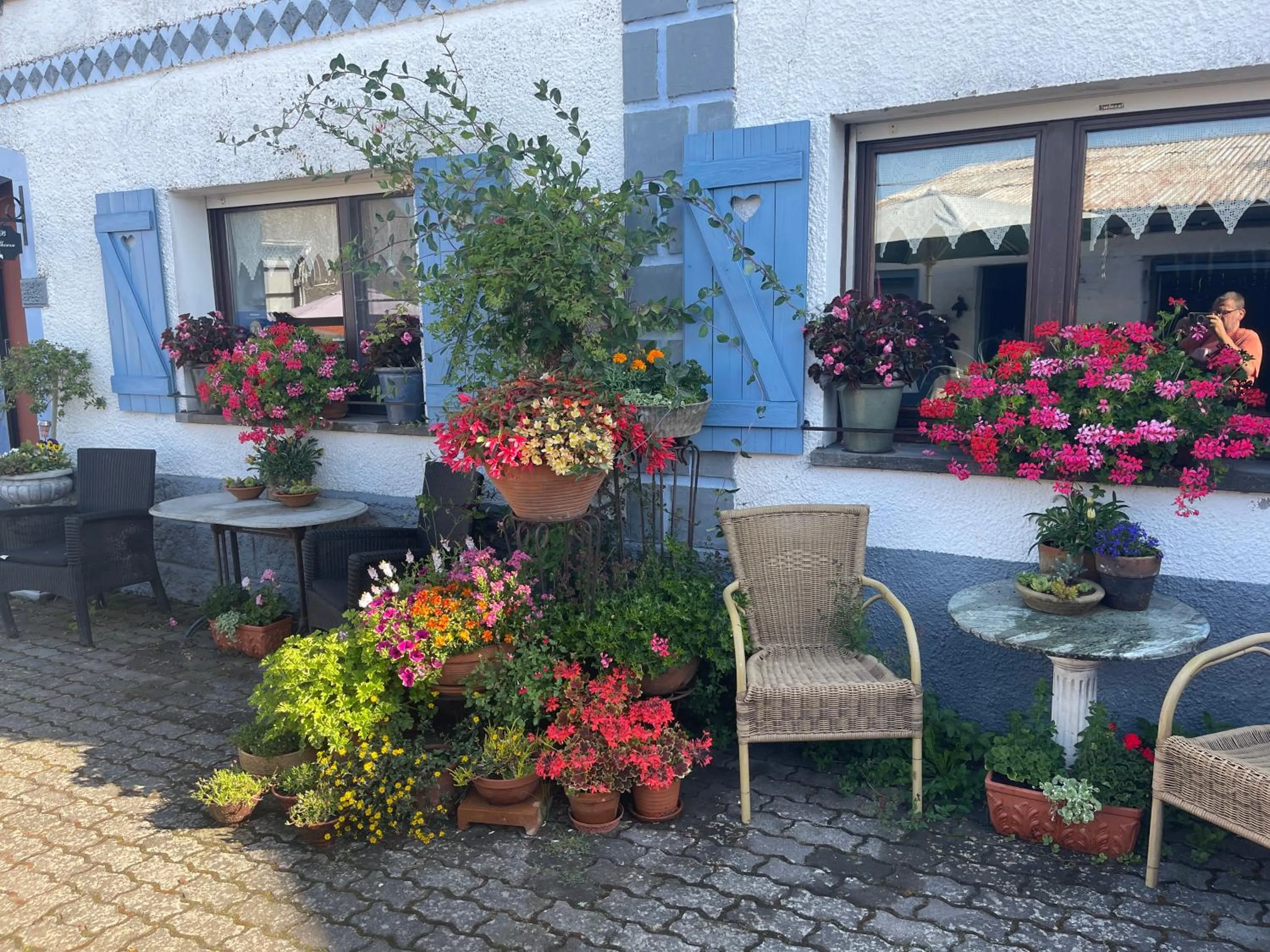 Garden in B&B De Eifelhoeve