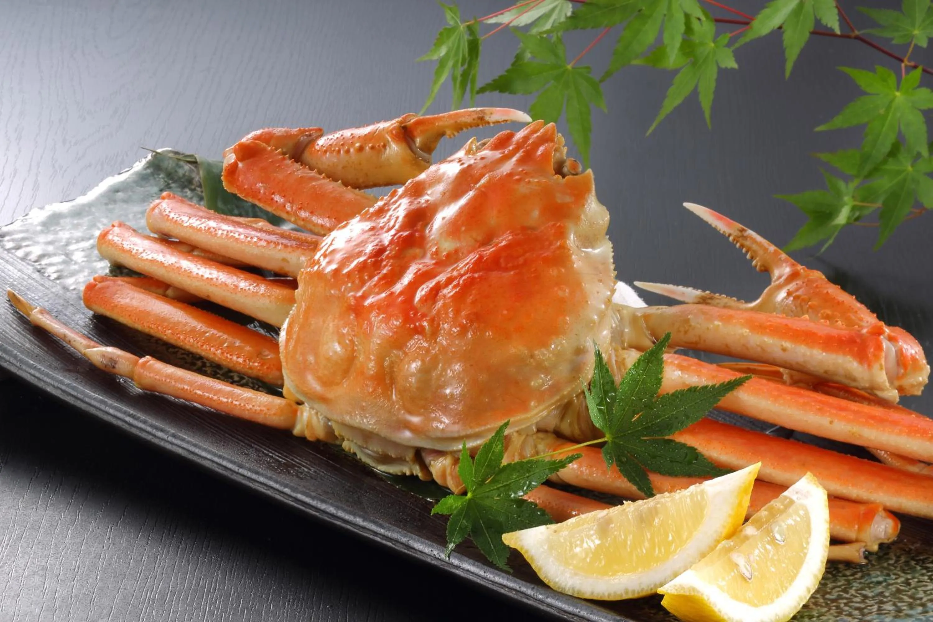 Food close-up in Tsuganoki