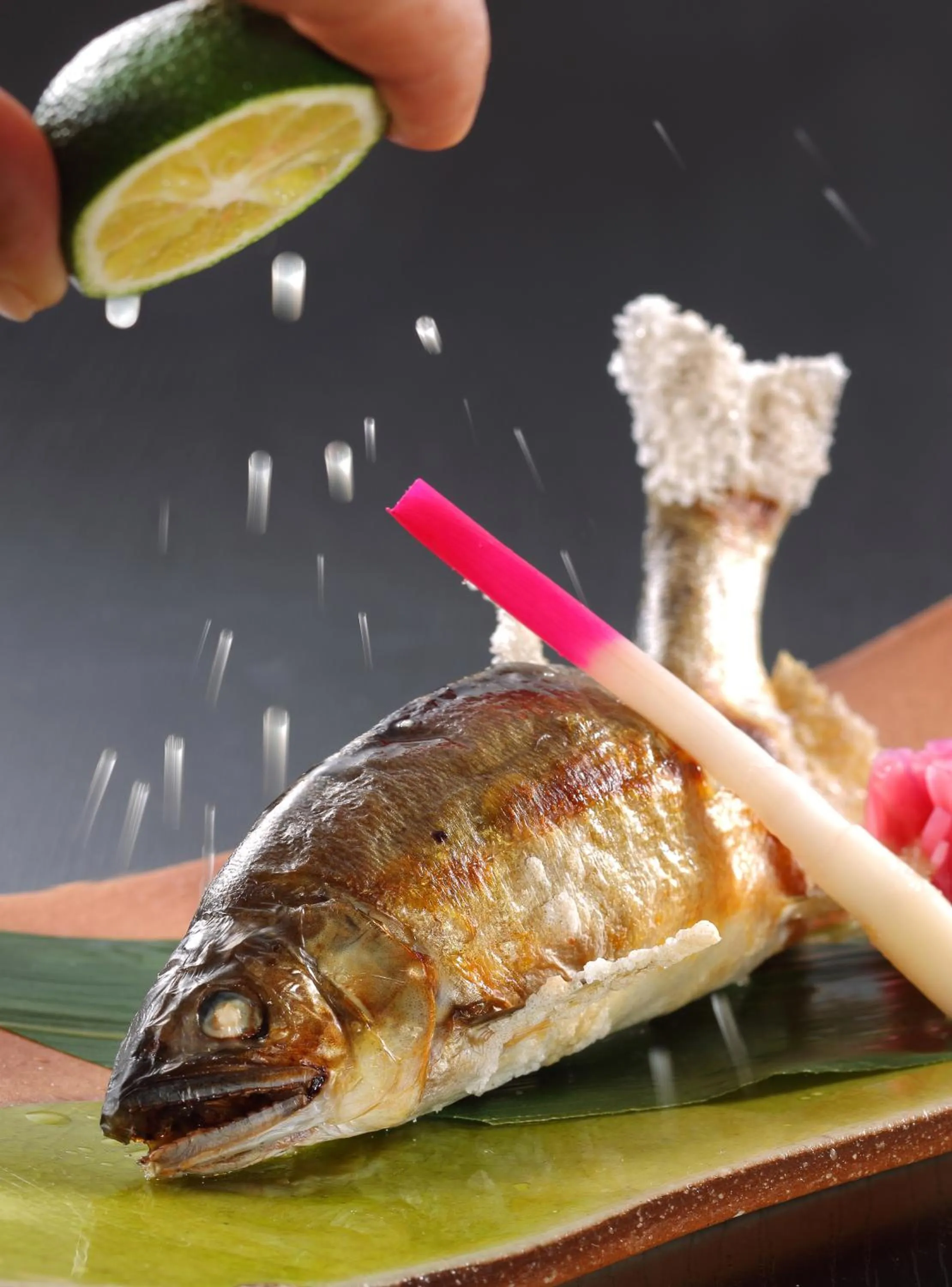 Food close-up in Tsuganoki