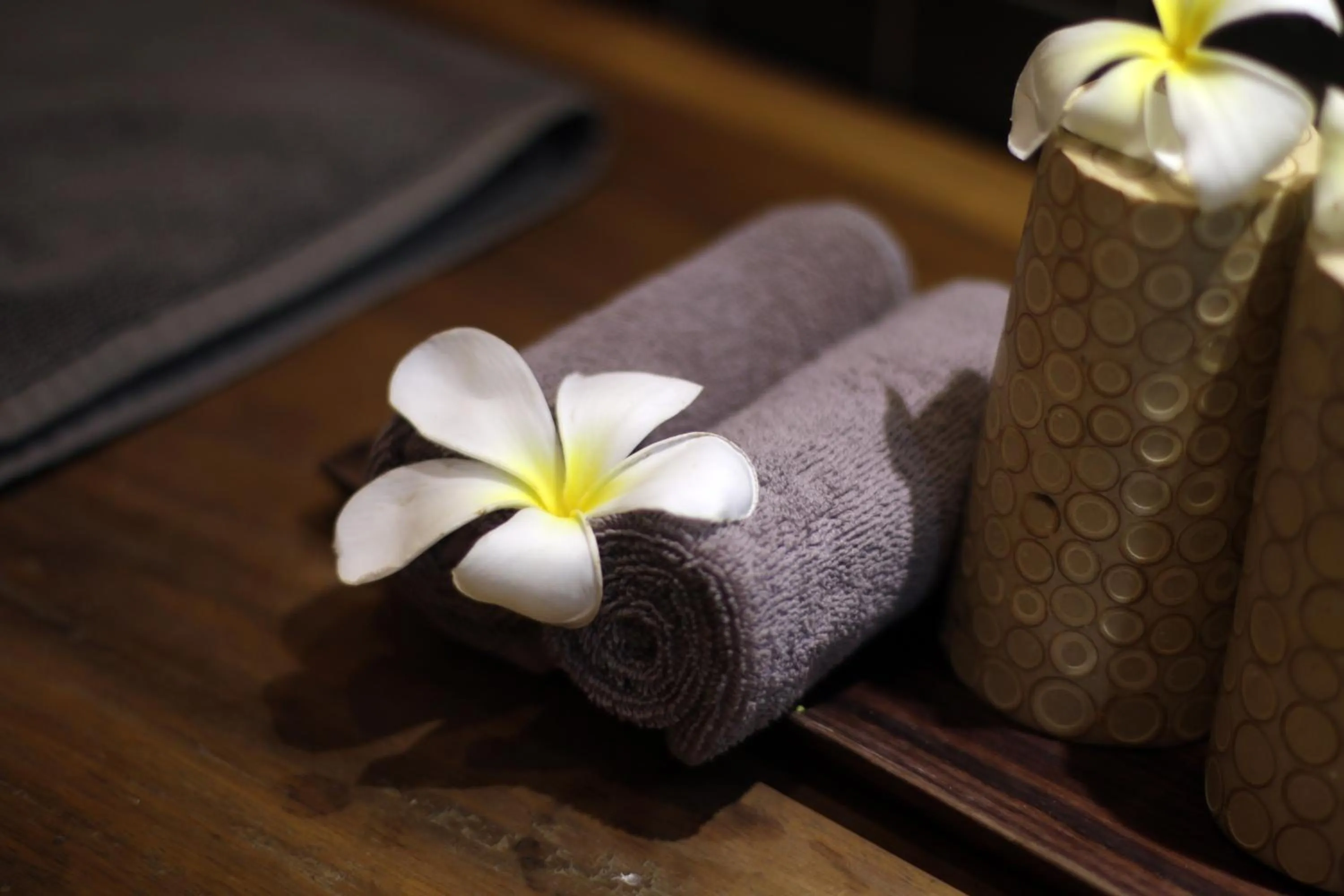 Other in Green Bird Villa