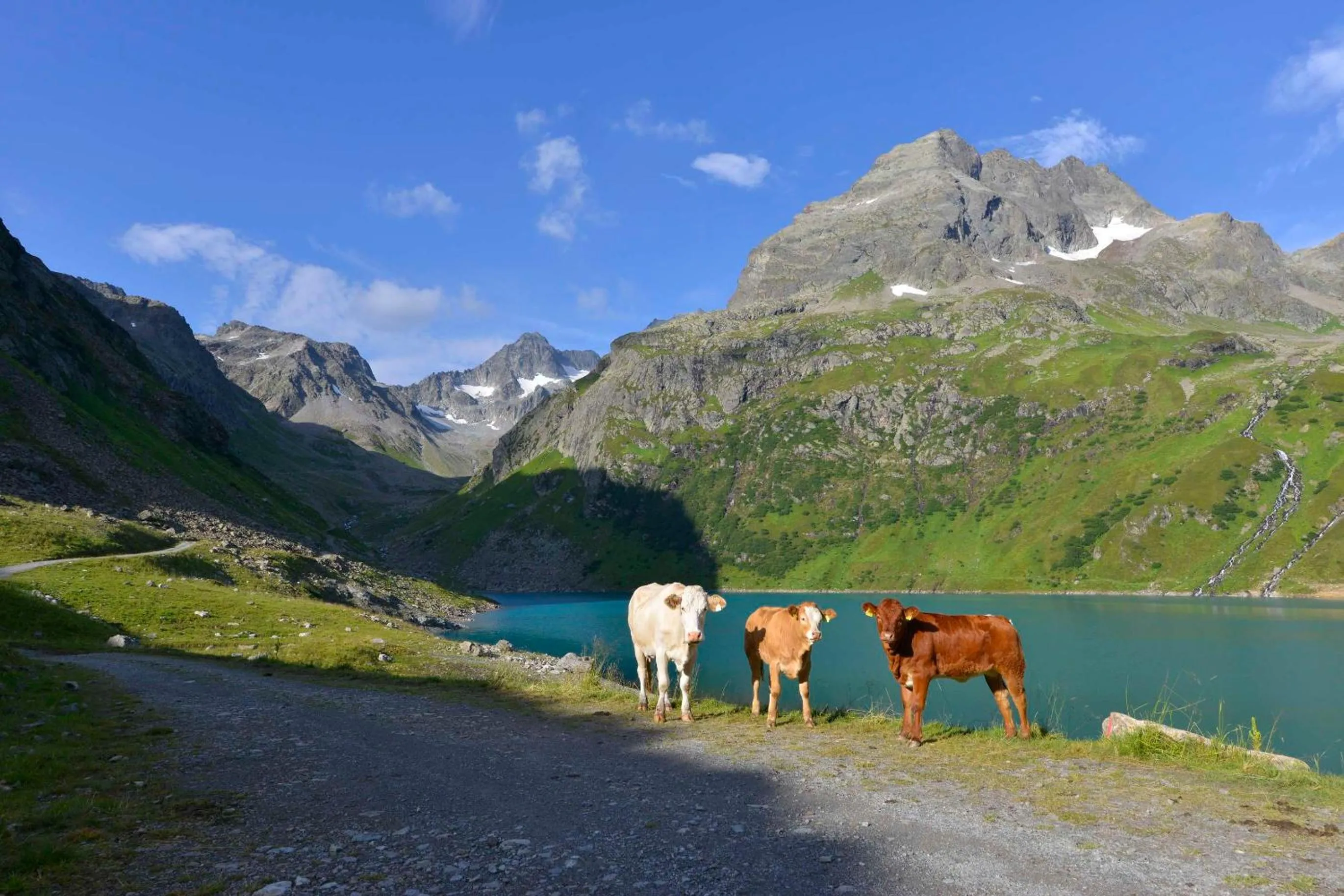 AmDorfplatzSuites B&B- Adultsfriendly