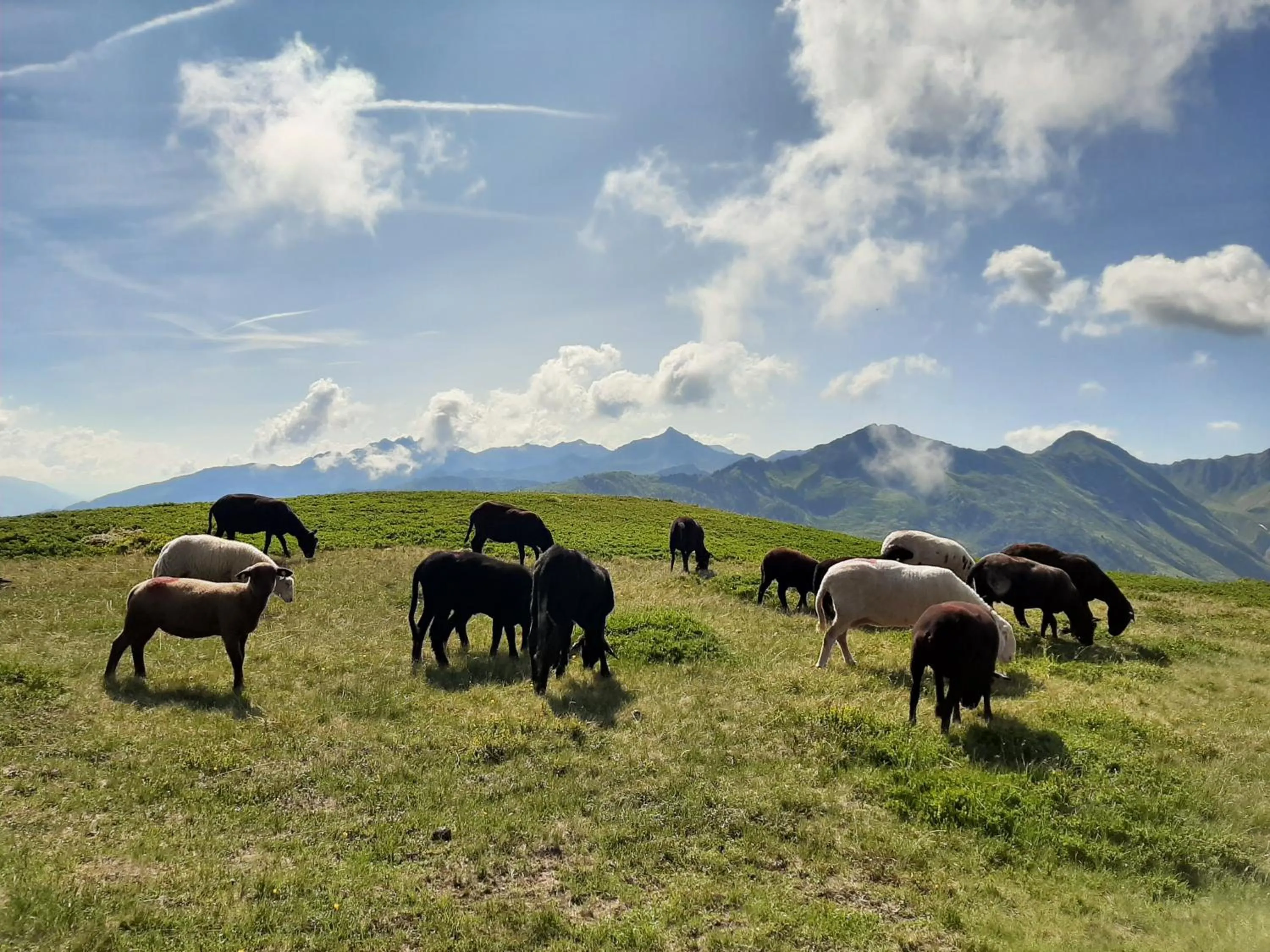 Hotel-Gasthof Andreas