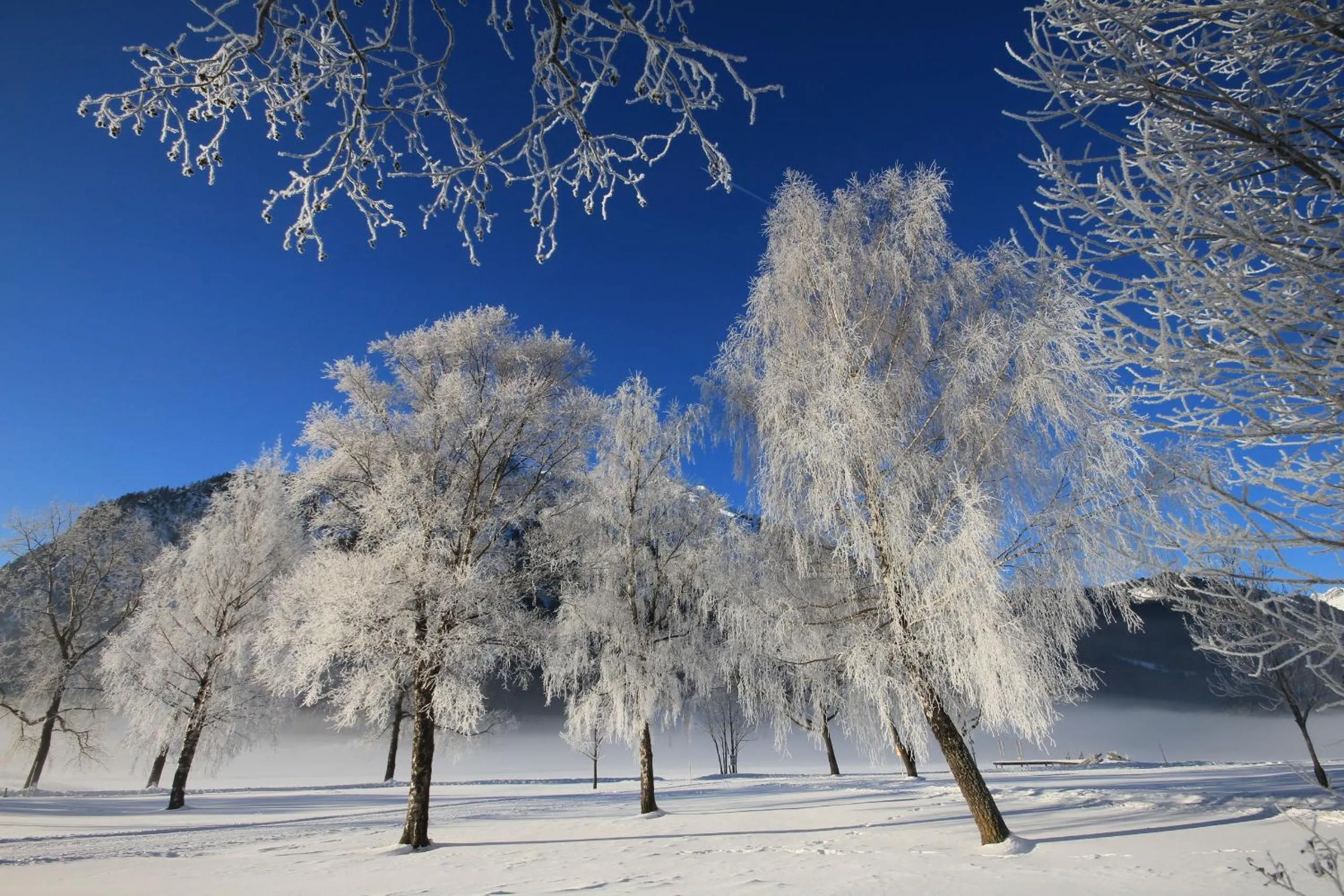 Neighbourhood in Garni Das SONNALP
