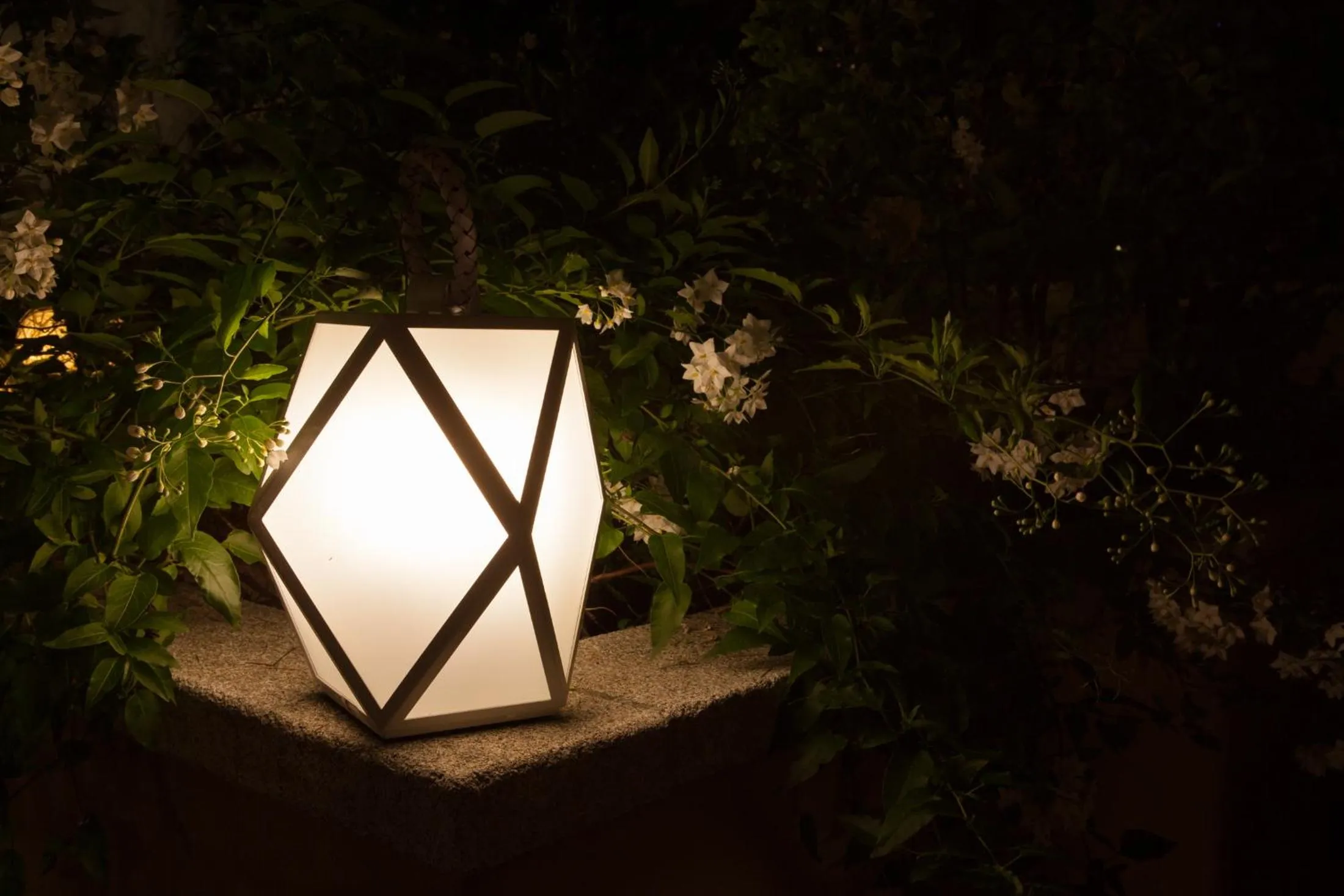 Garden in La Pulcia B&B