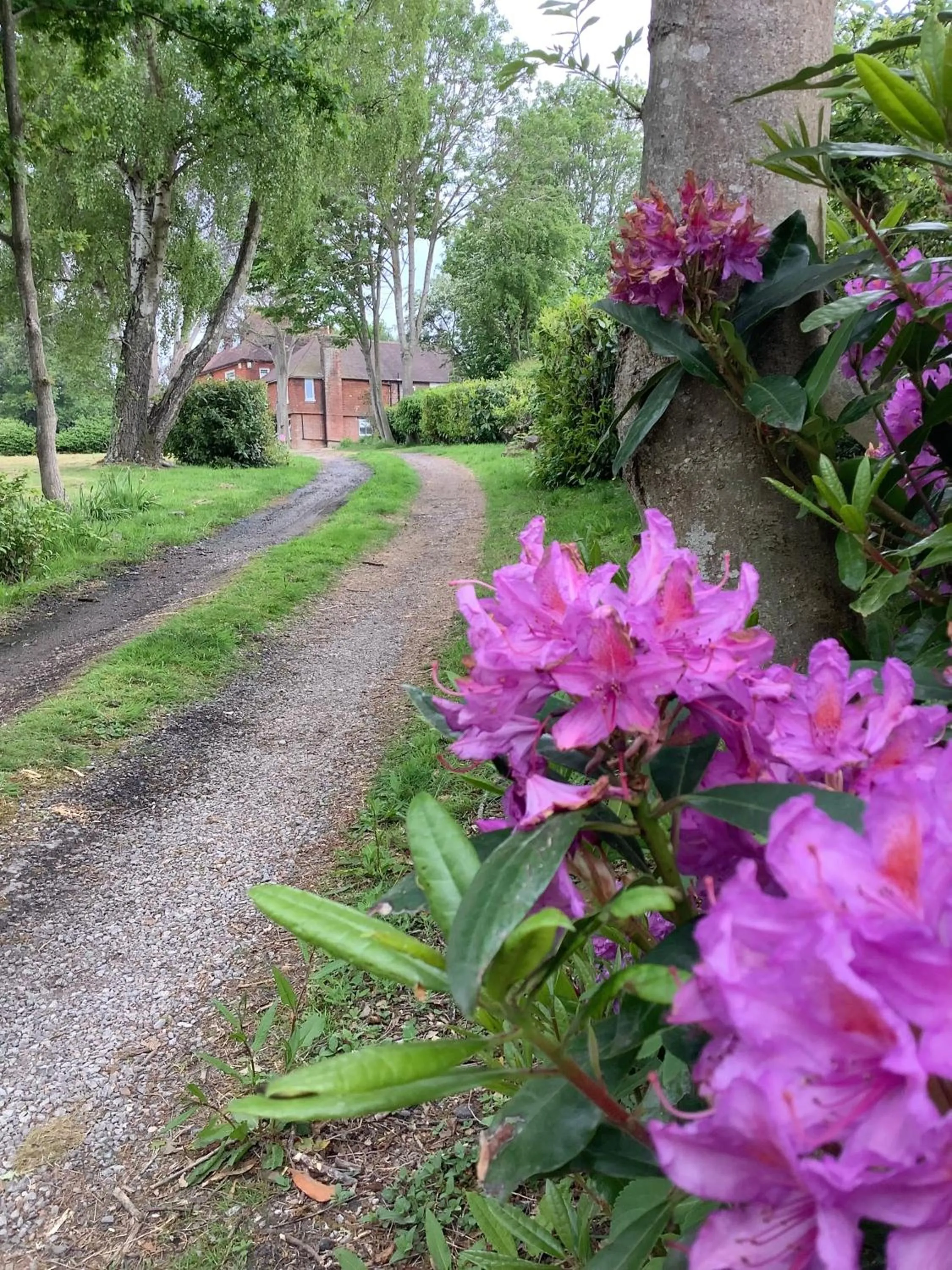 Garden in Humphries Cross Apartments