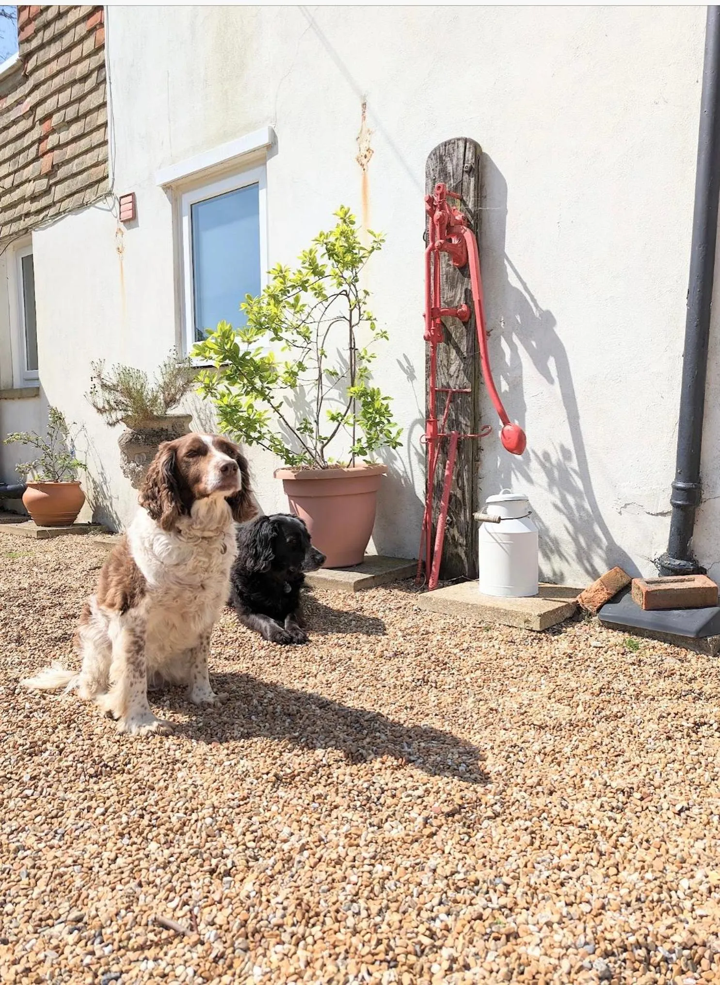 Garden in Humphries Cross Apartments