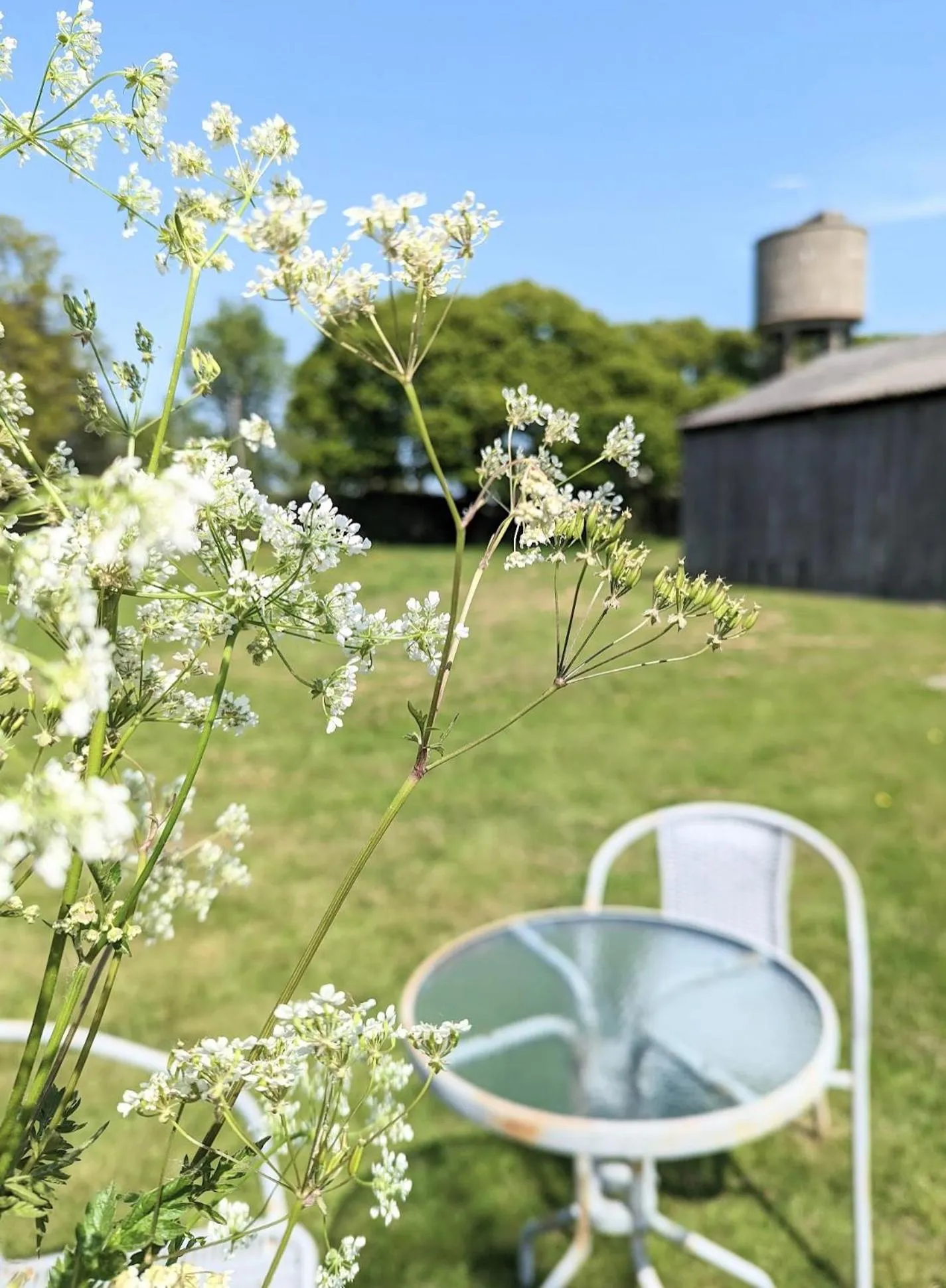 Garden in Humphries Cross Apartments