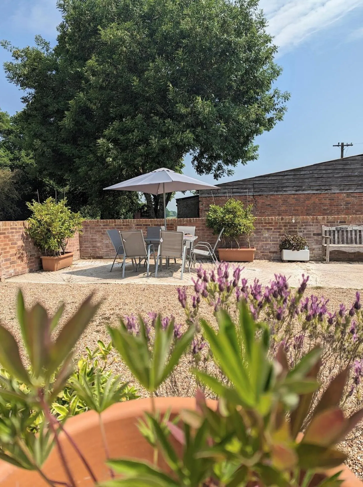 Garden in Humphries Cross Apartments