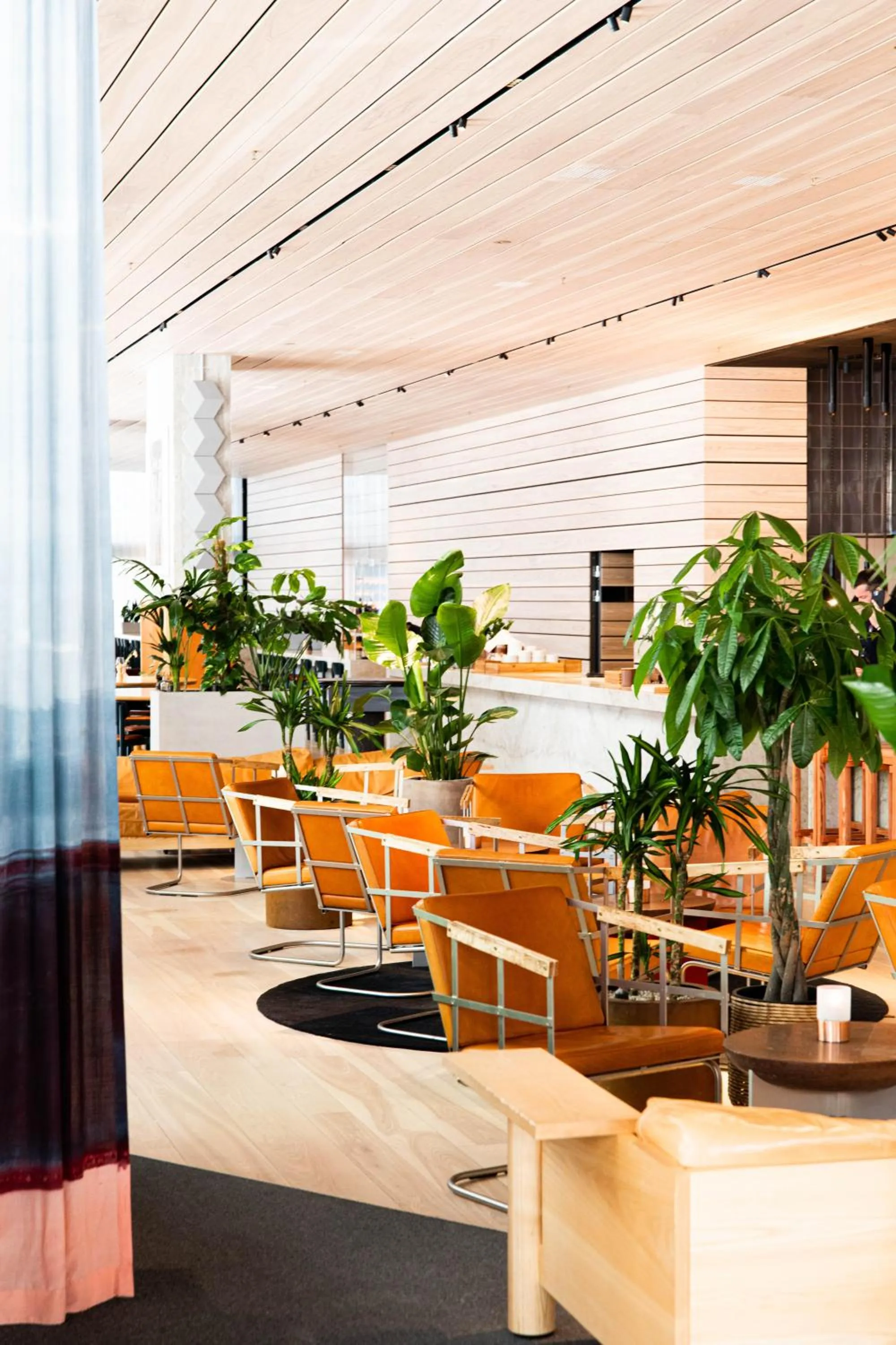 Lobby or reception in Nordic Light Hotel