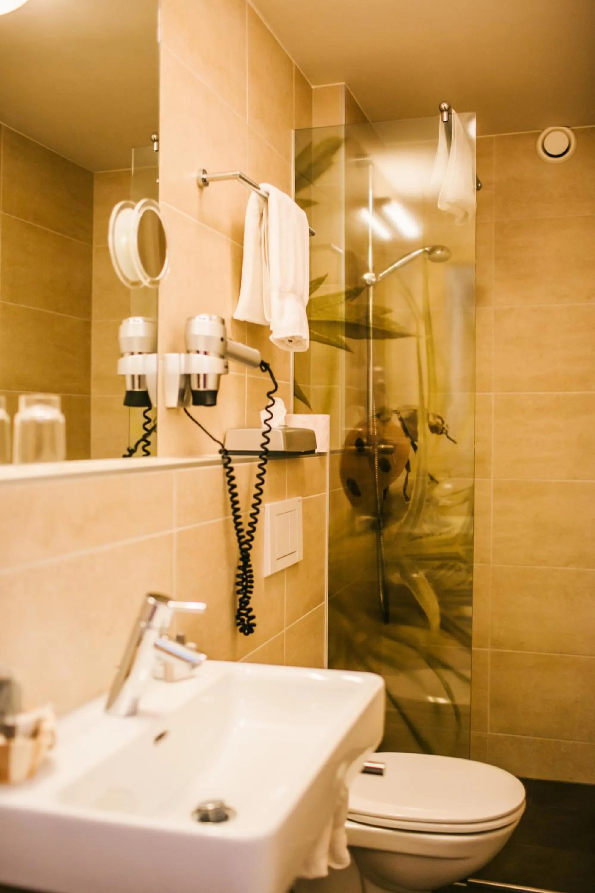 Bathroom in Hotel Dr Otto Murr B&B