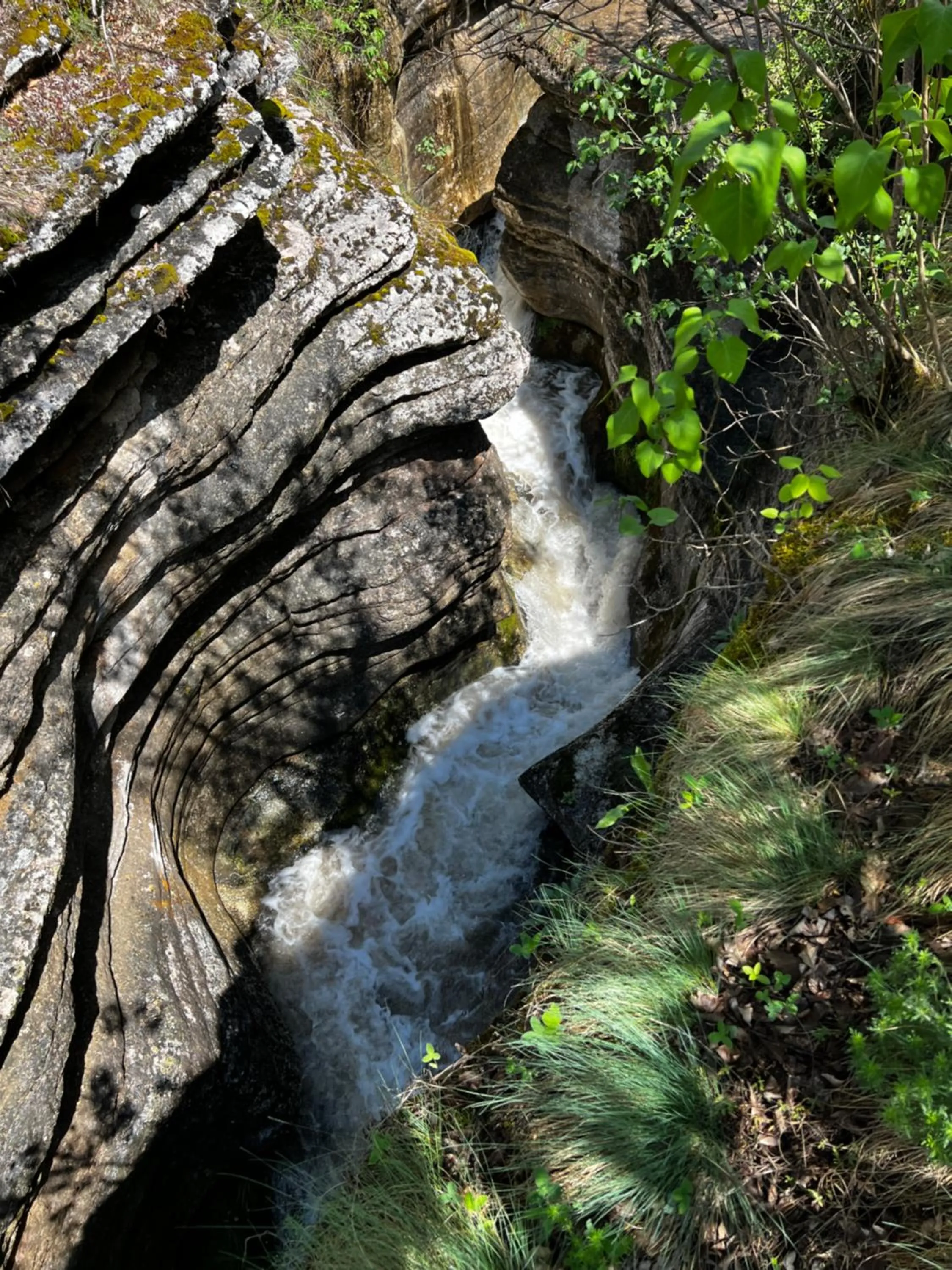 Hiking in Hotel Happy