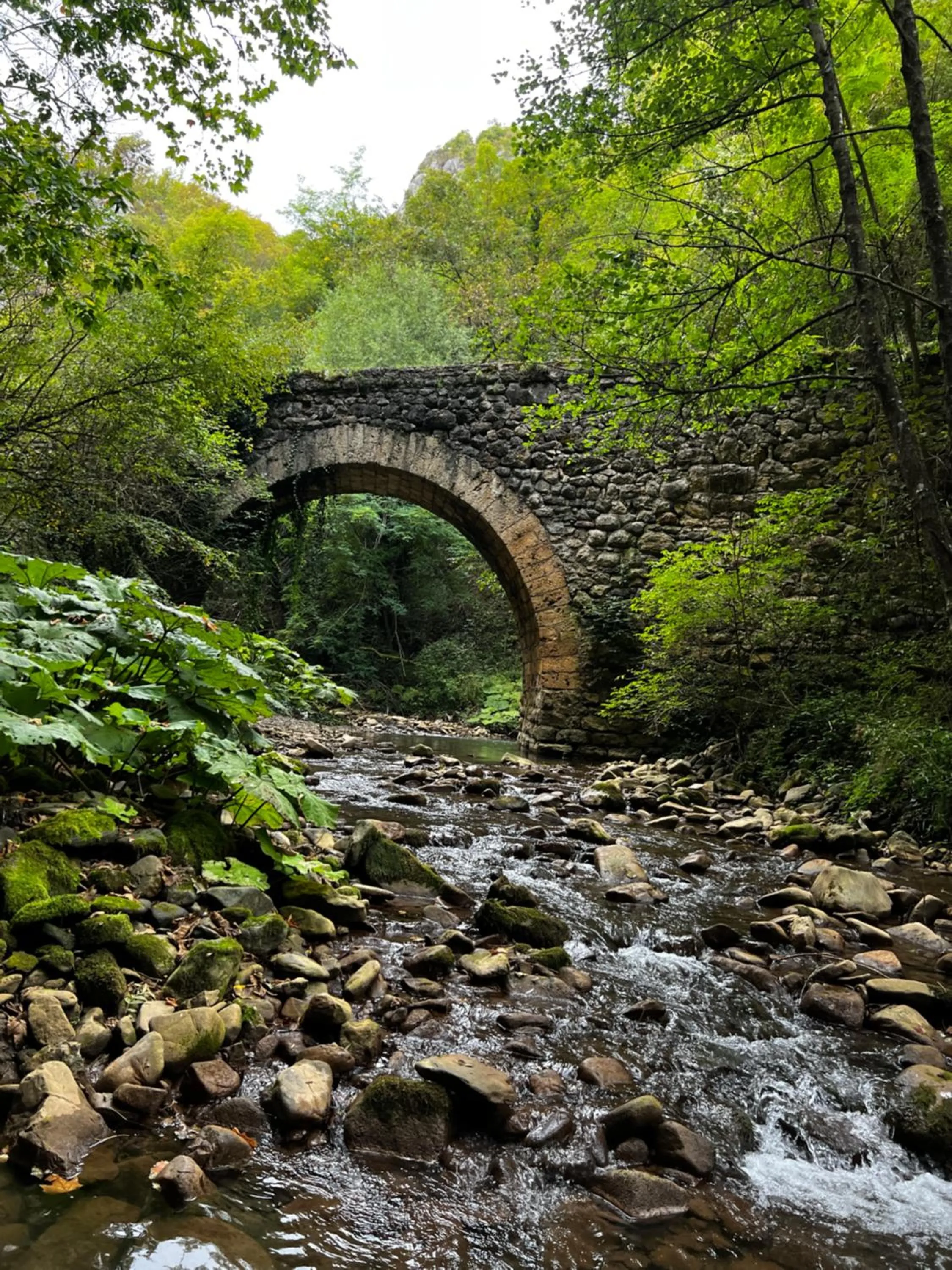 Hiking in Hotel Happy