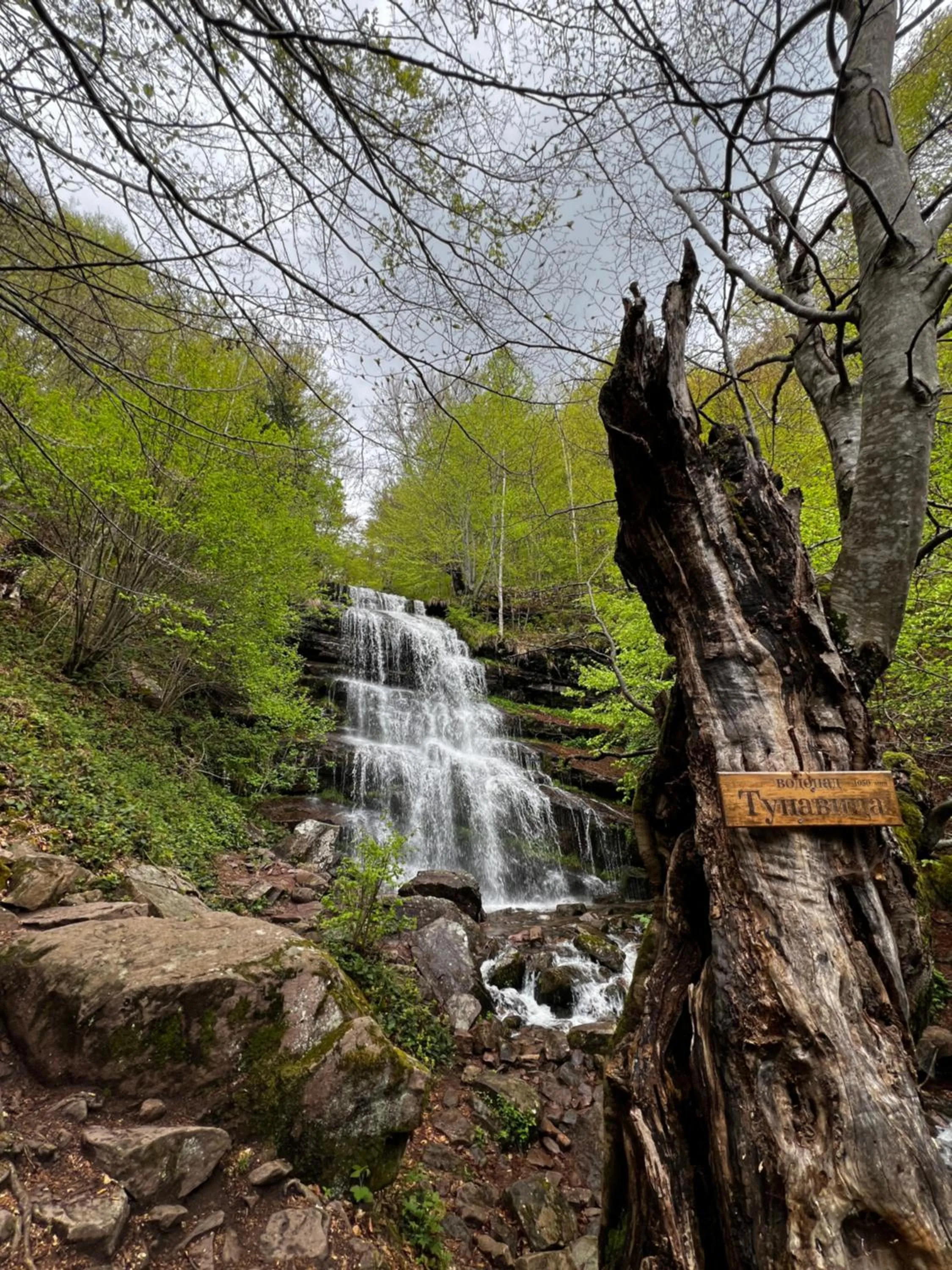 Hiking in Hotel Happy