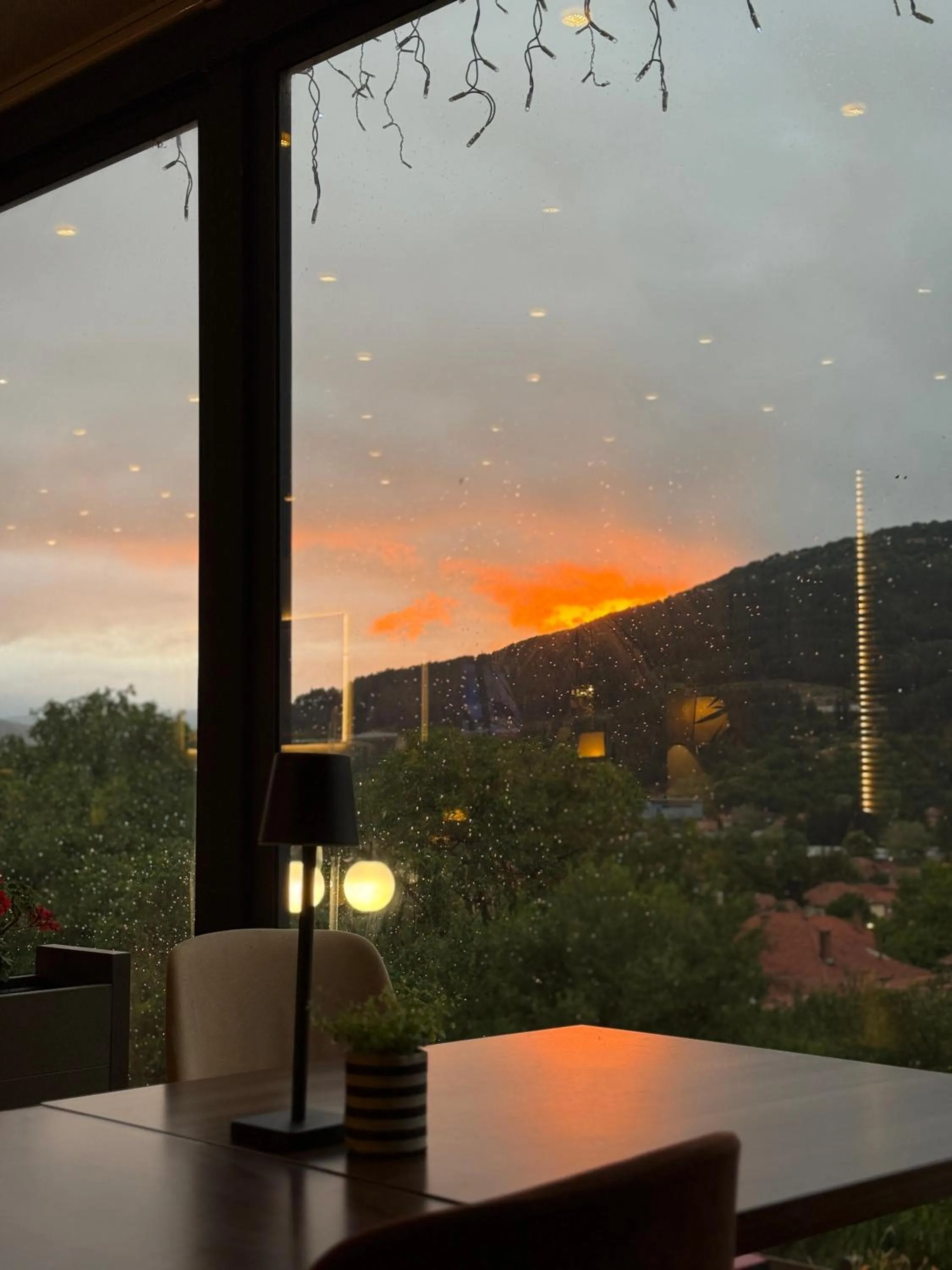 Natural landscape in Hotel Happy