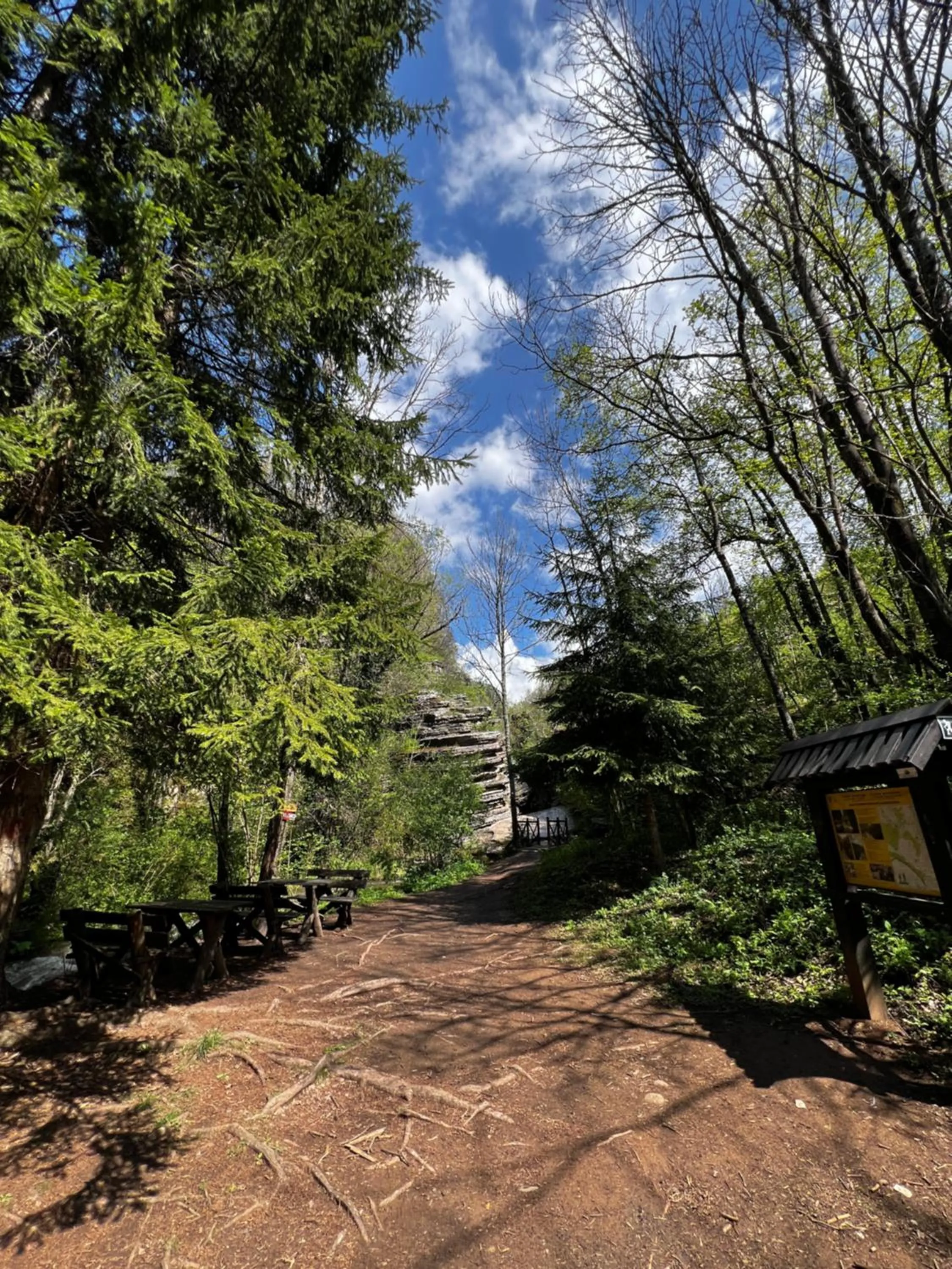 Hiking in Hotel Happy