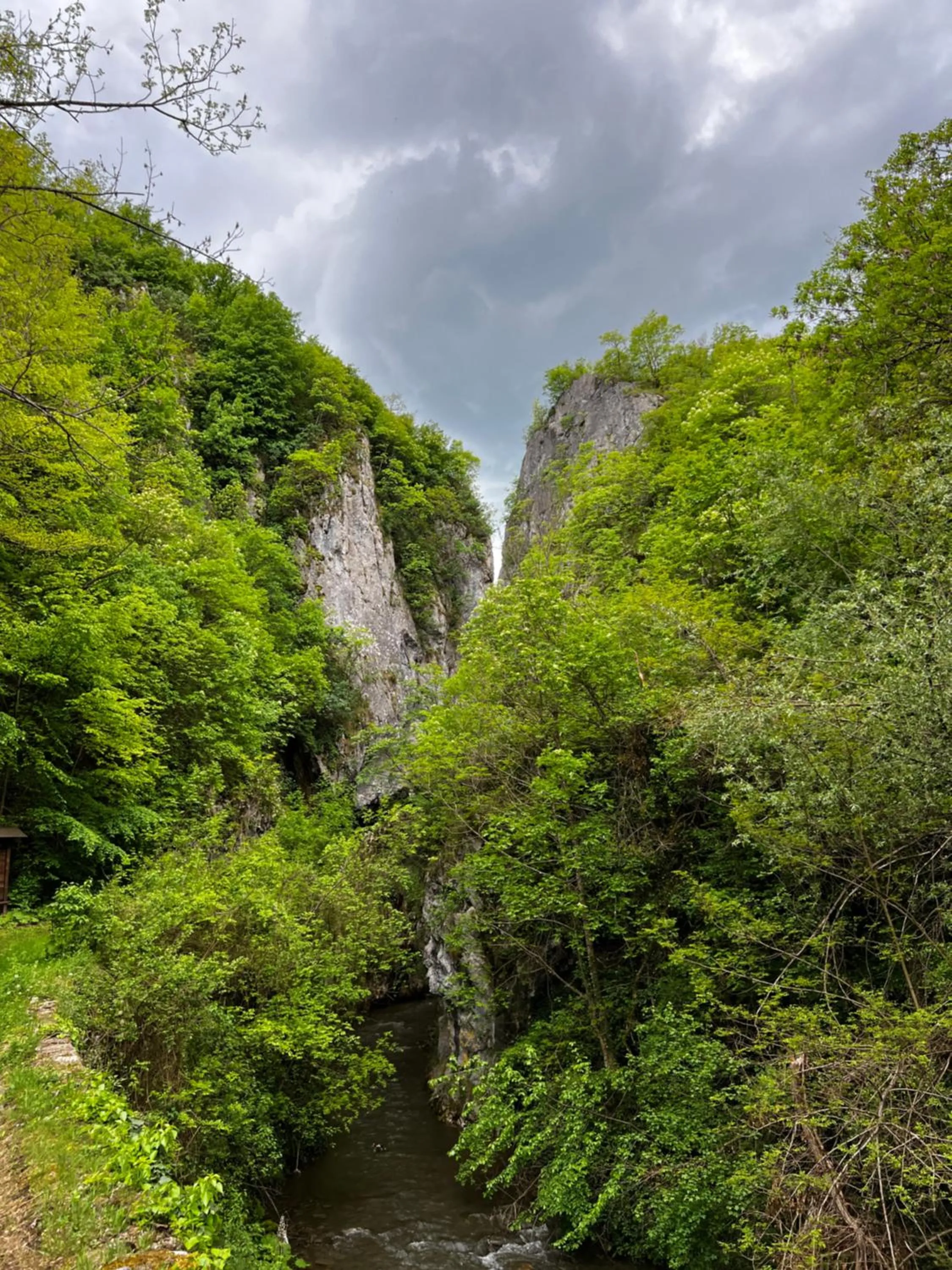 Hiking in Hotel Happy