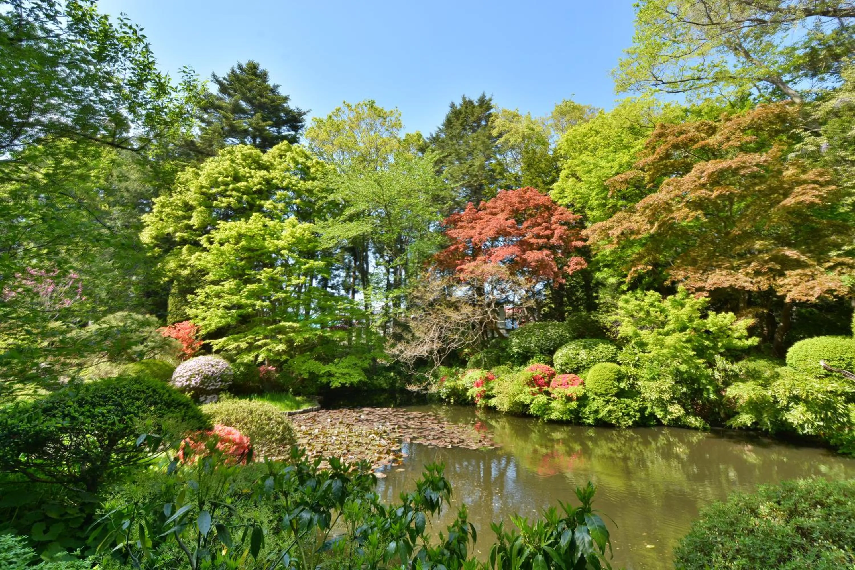 Garden in Hachinohe Park Hotel