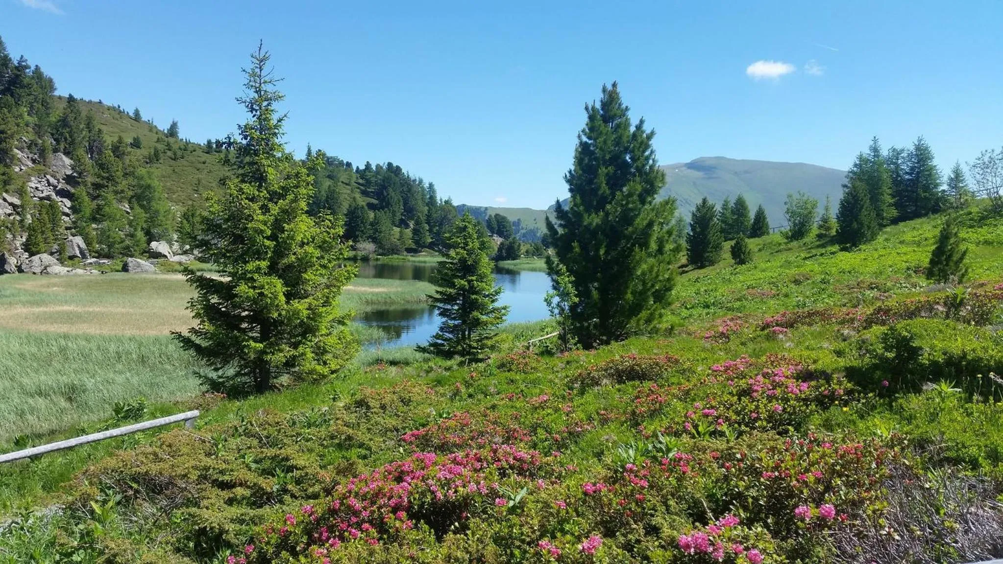 Area and facilities in Genusshotel Almrausch