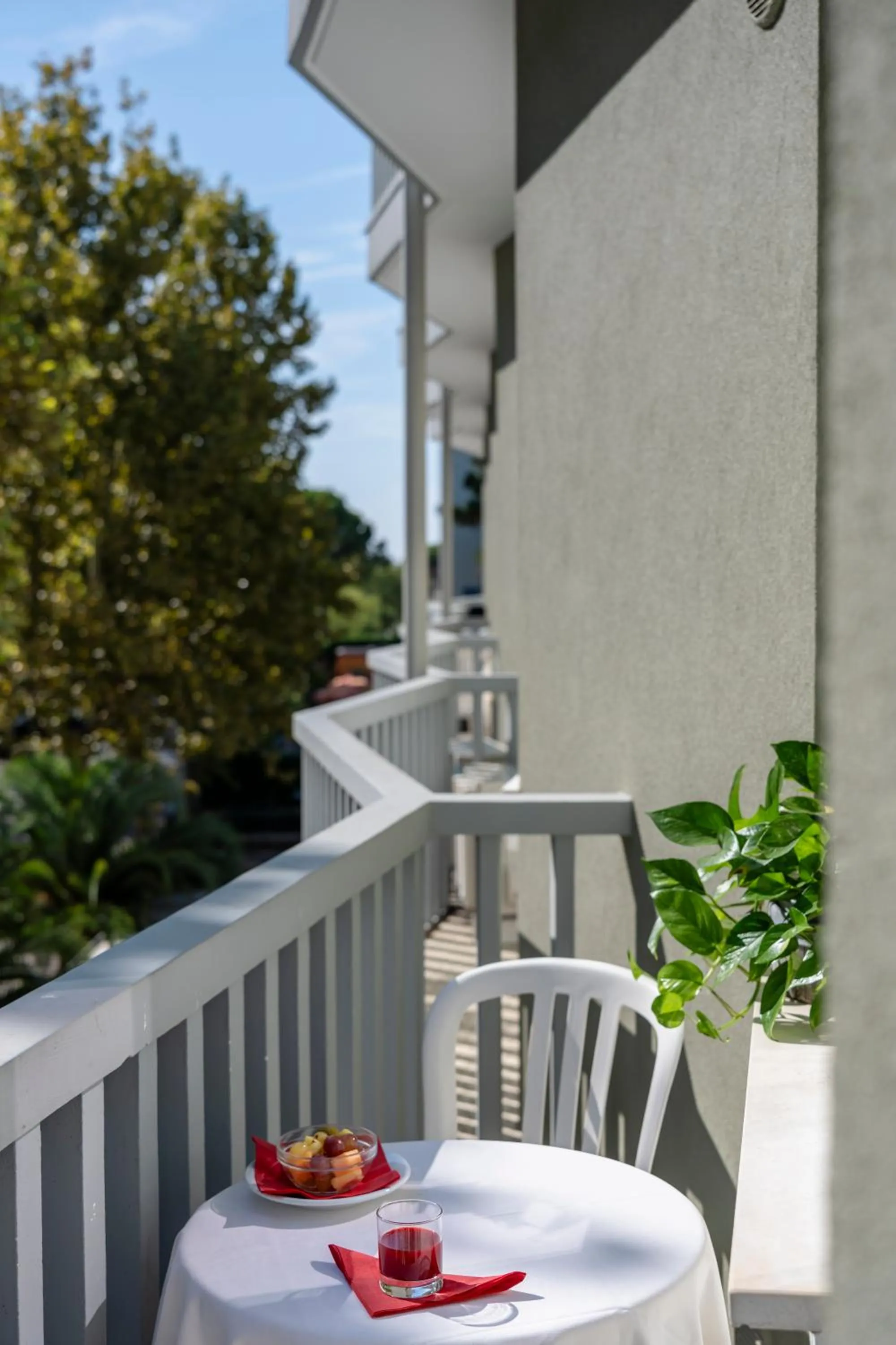 Balcony/Terrace in Aparthotel Pineda