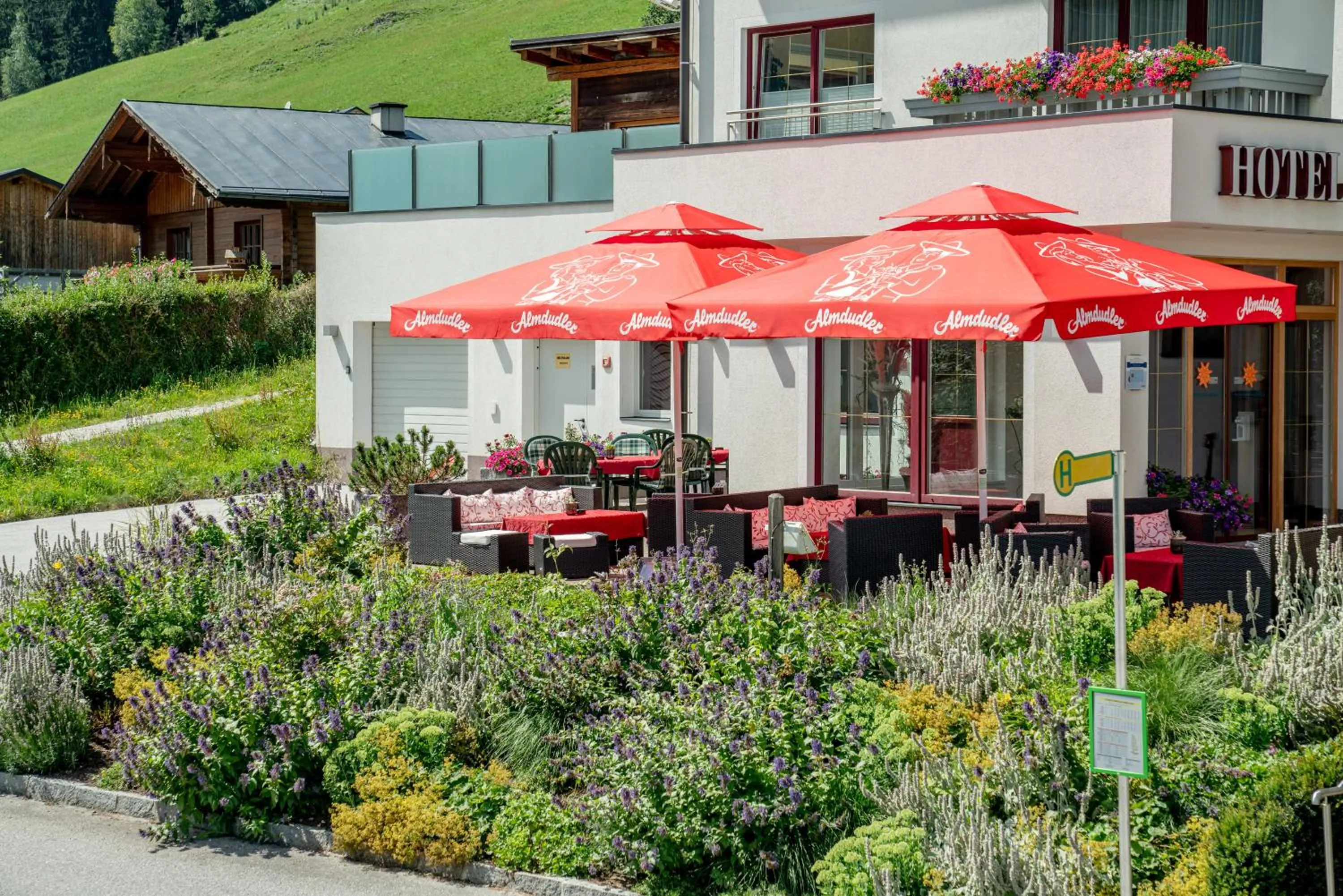 Facade/entrance in Hotel Sonnschupfer
