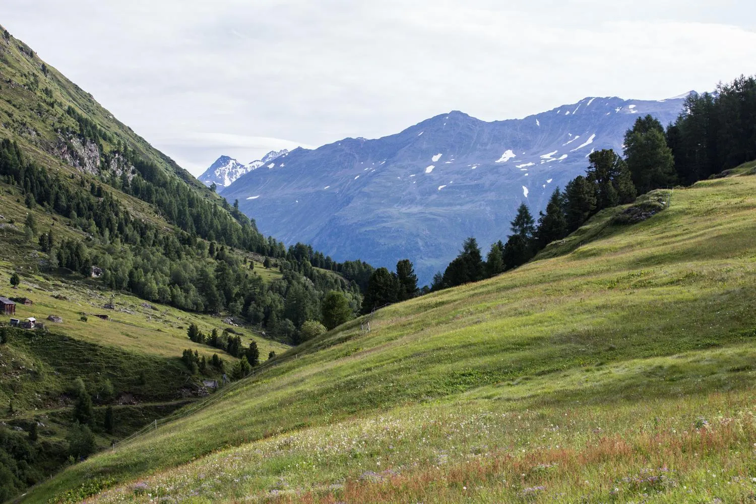 Natural landscape in Alpenaussicht
