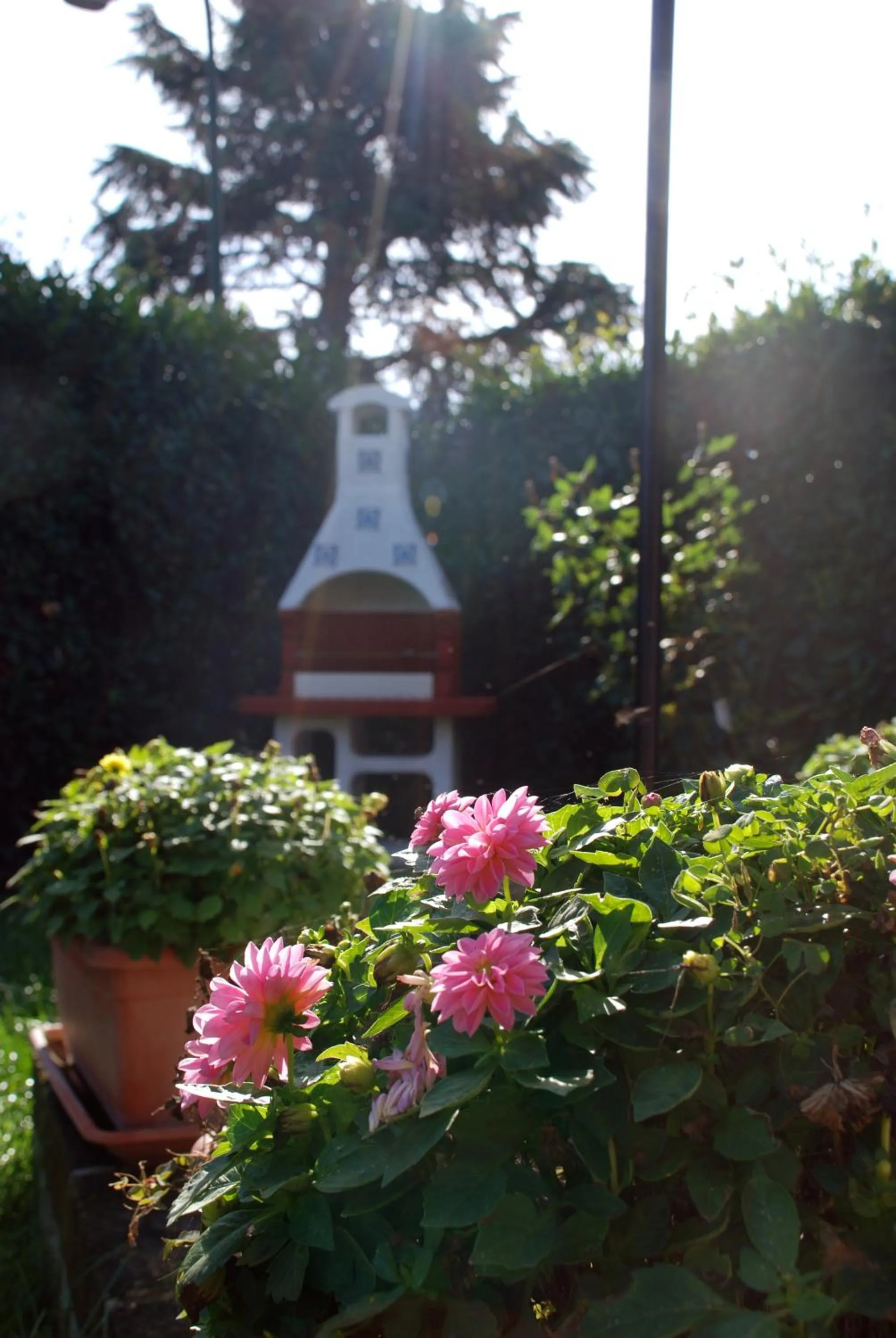 Garden in Gatto Matto