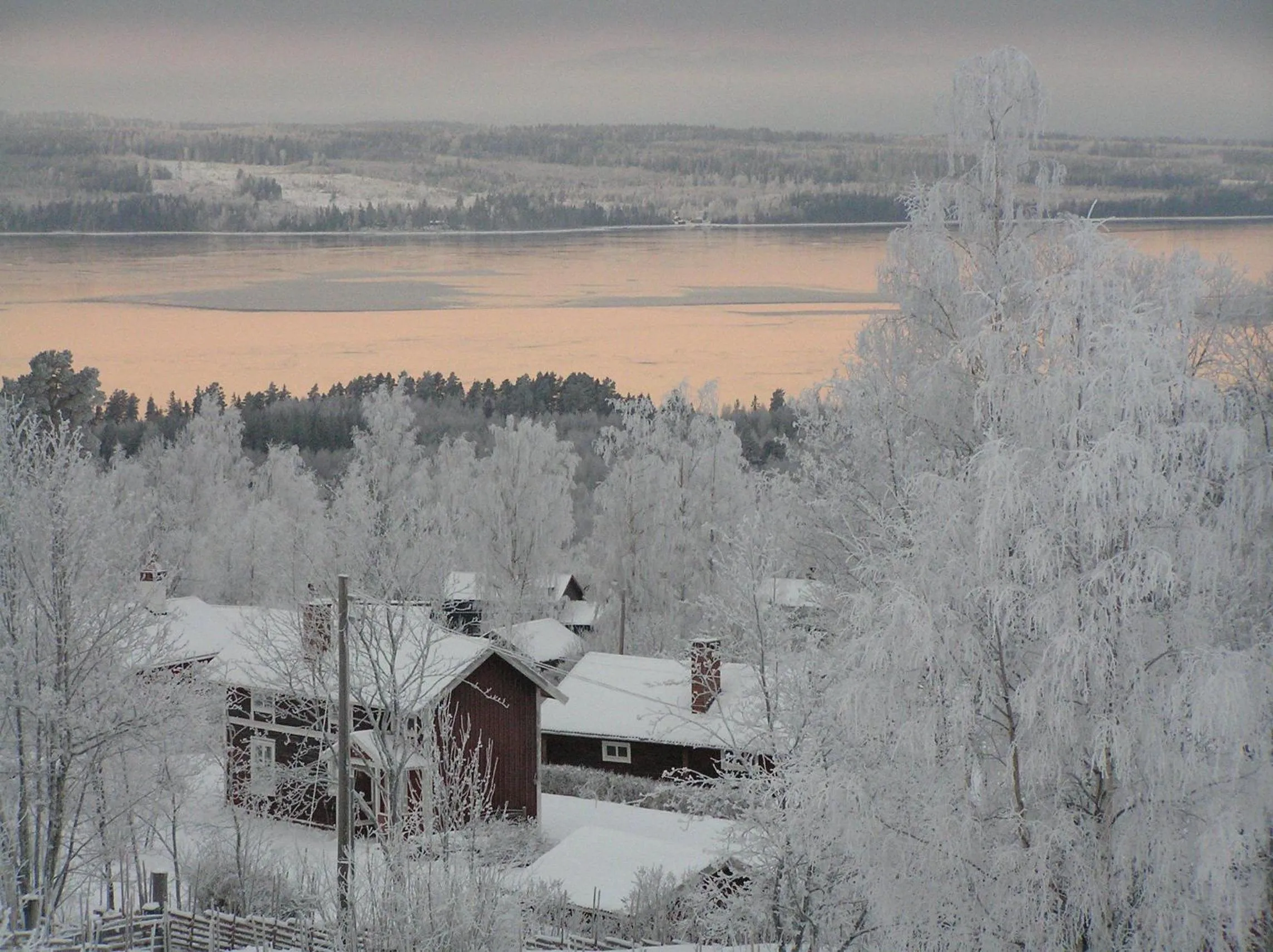 Area and facilities in Green Hotel