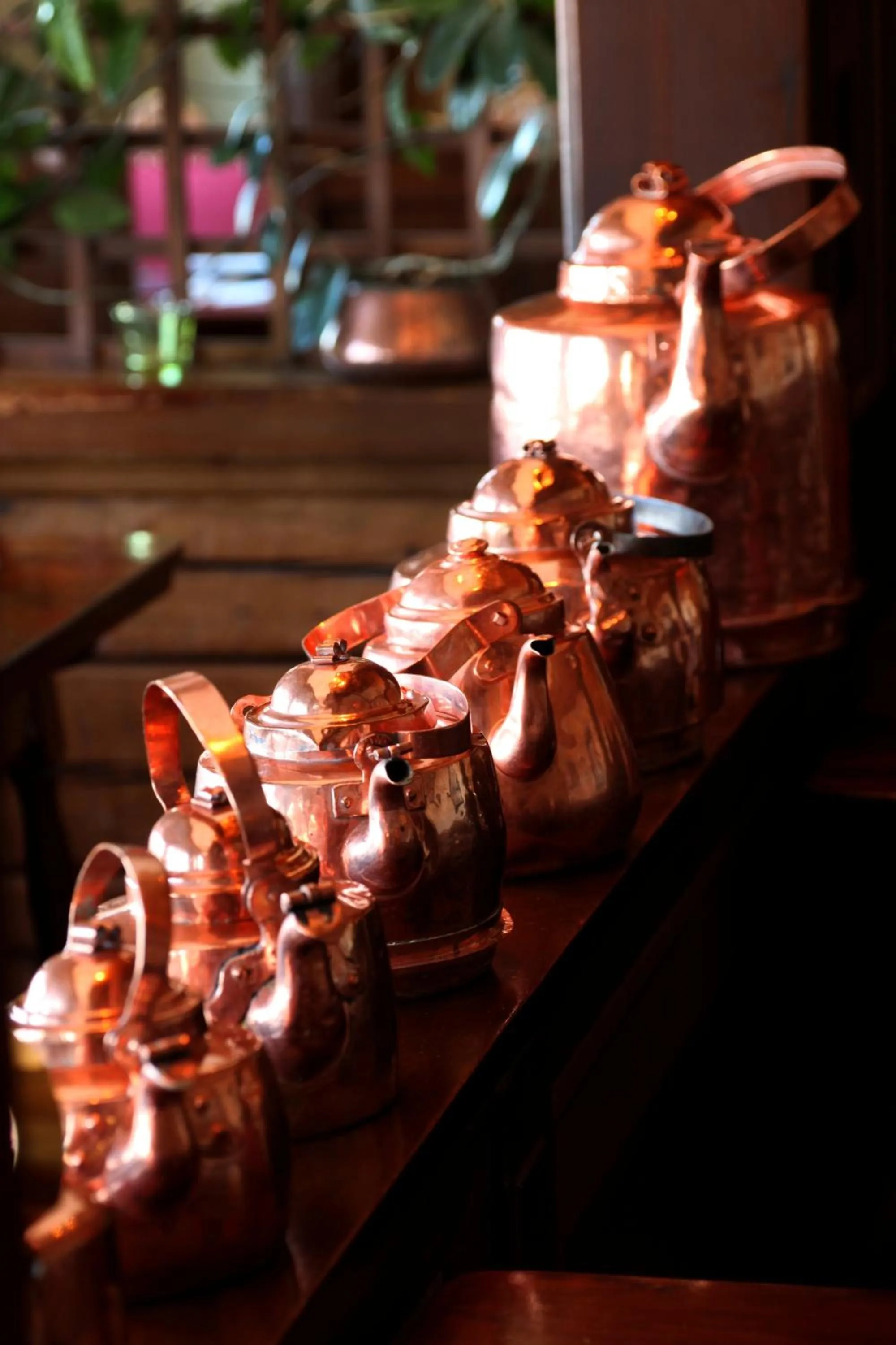 Restaurant/places to eat in Green Hotel