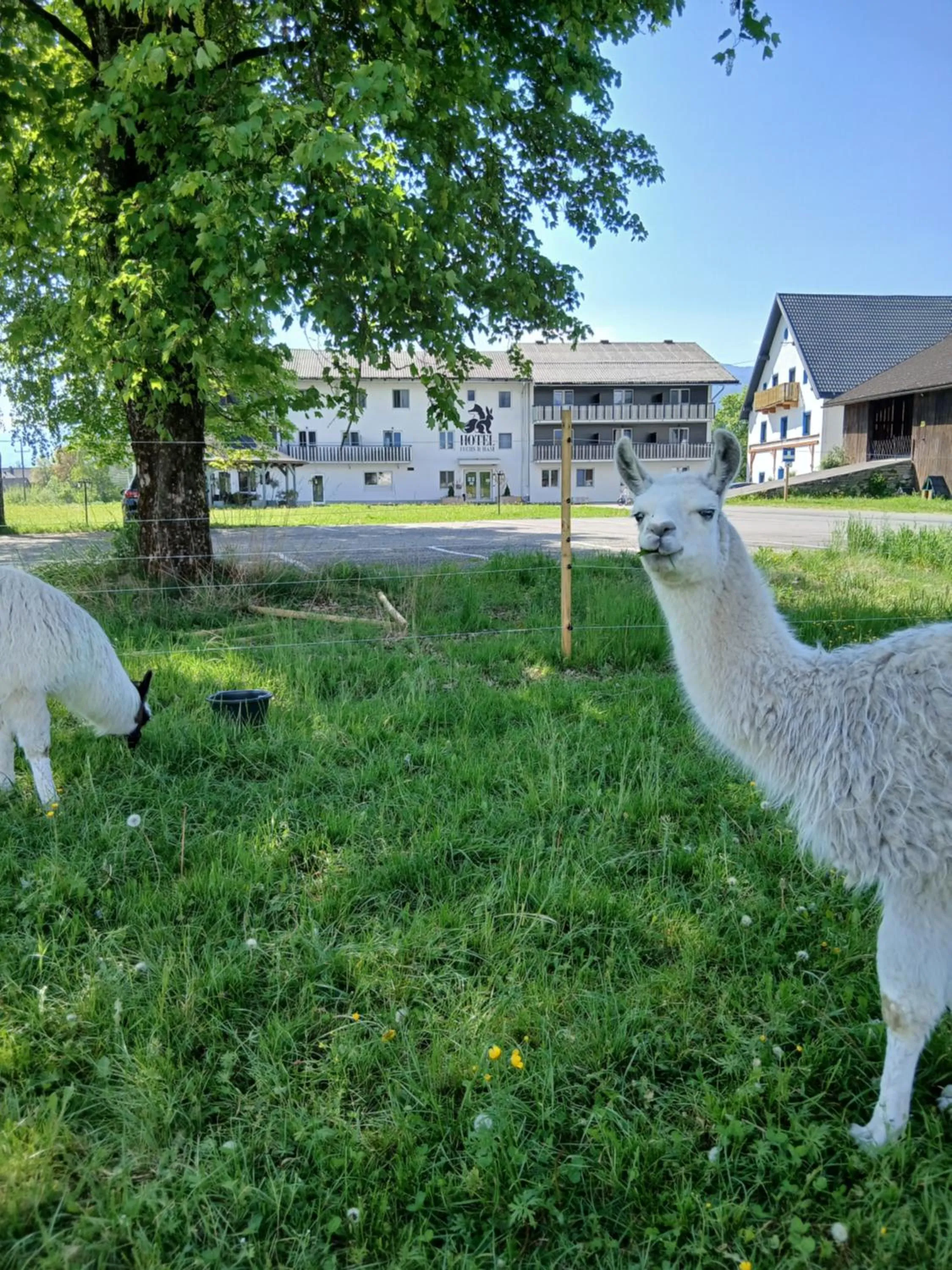 Hotel Fuchs & Hase SELF CHECK IN