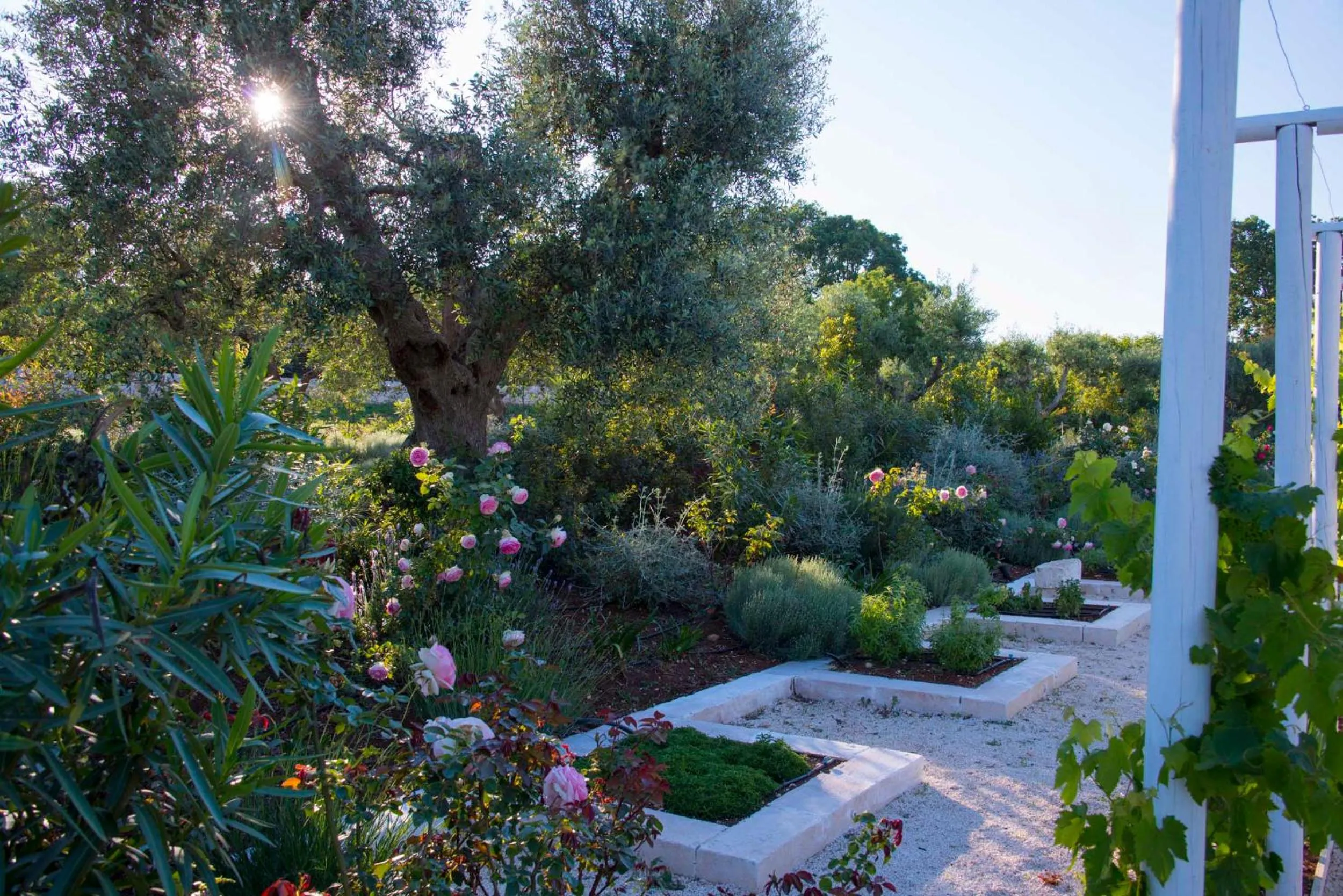 Spring in Tenuta del Lauro