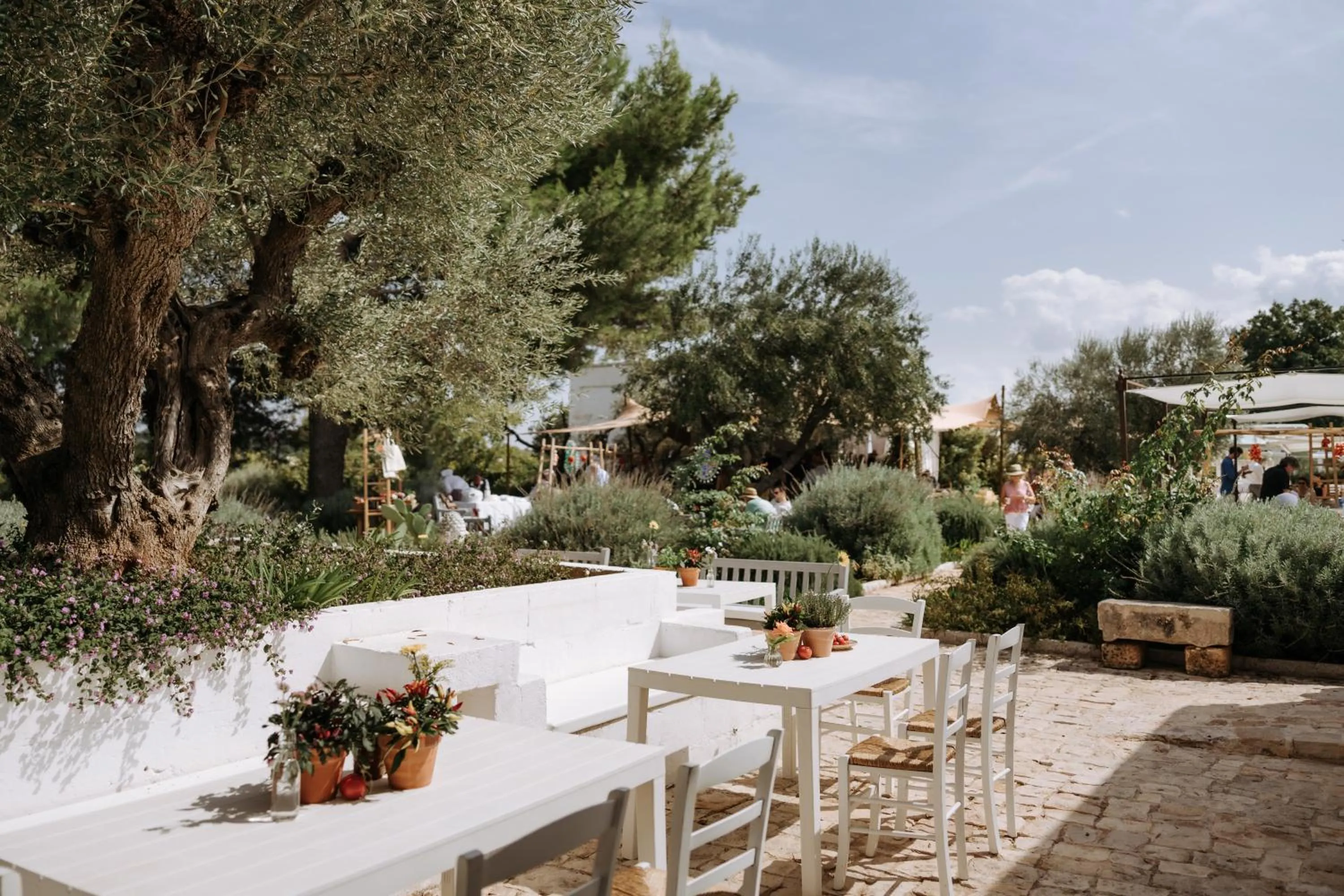 Day in Tenuta del Lauro