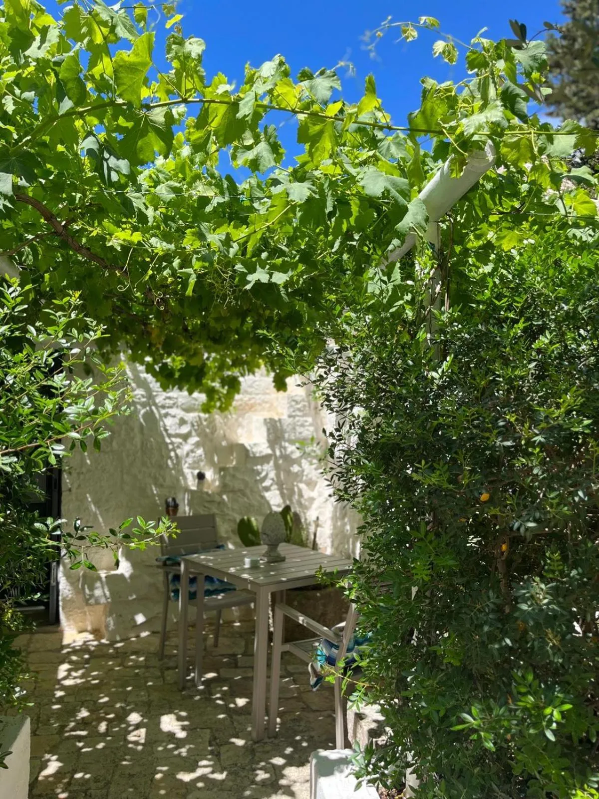 Inner courtyard view in Tenuta del Lauro