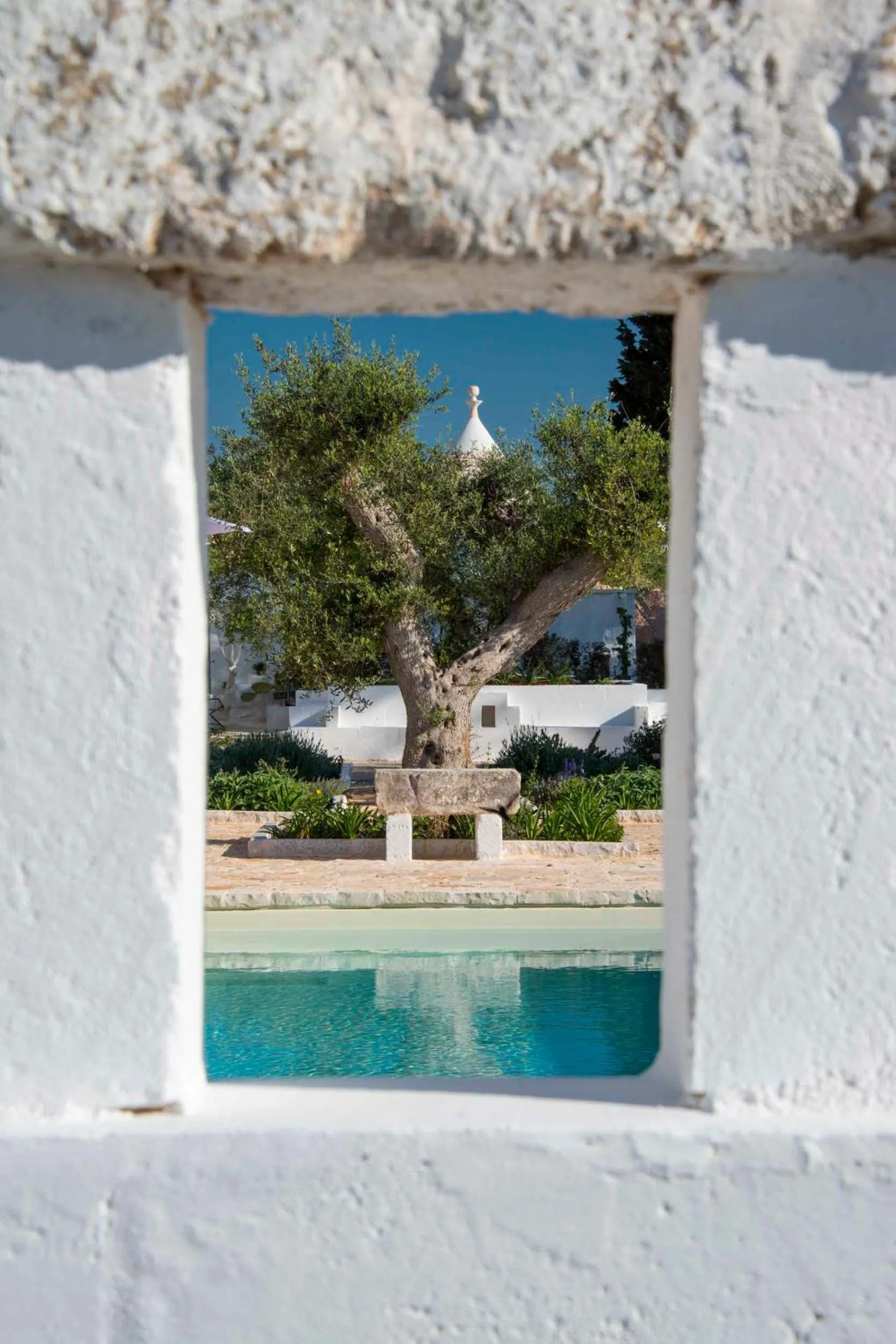 Day in Tenuta del Lauro