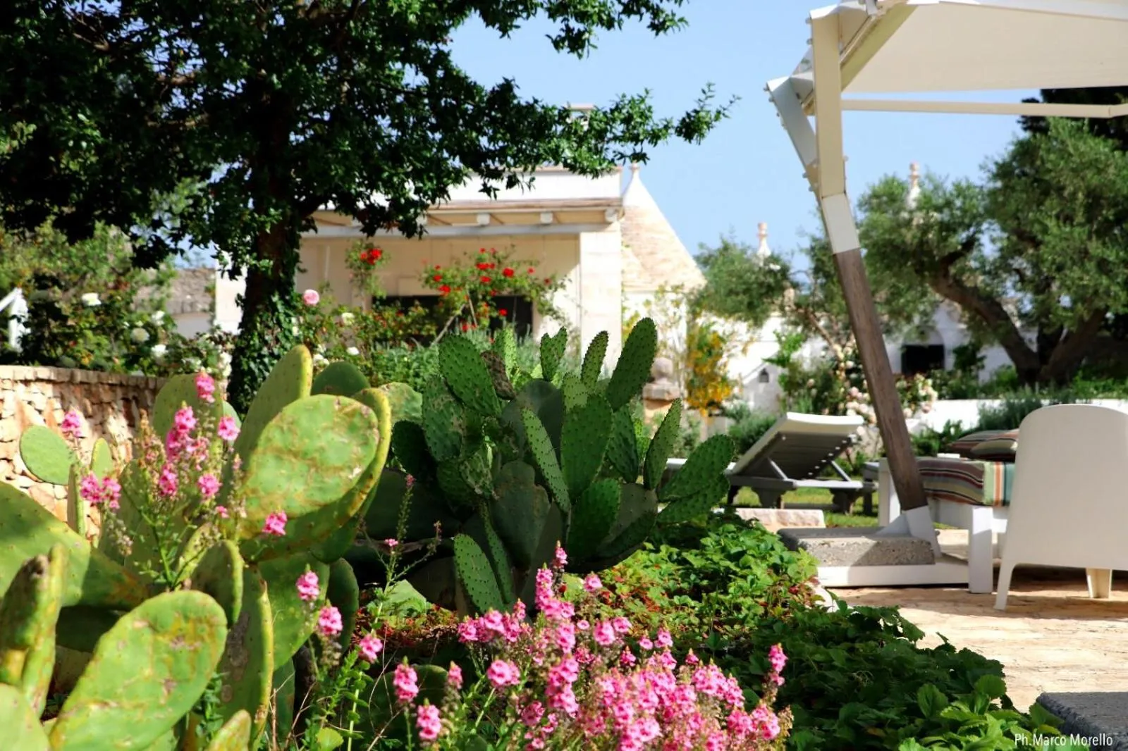 Day in Tenuta del Lauro