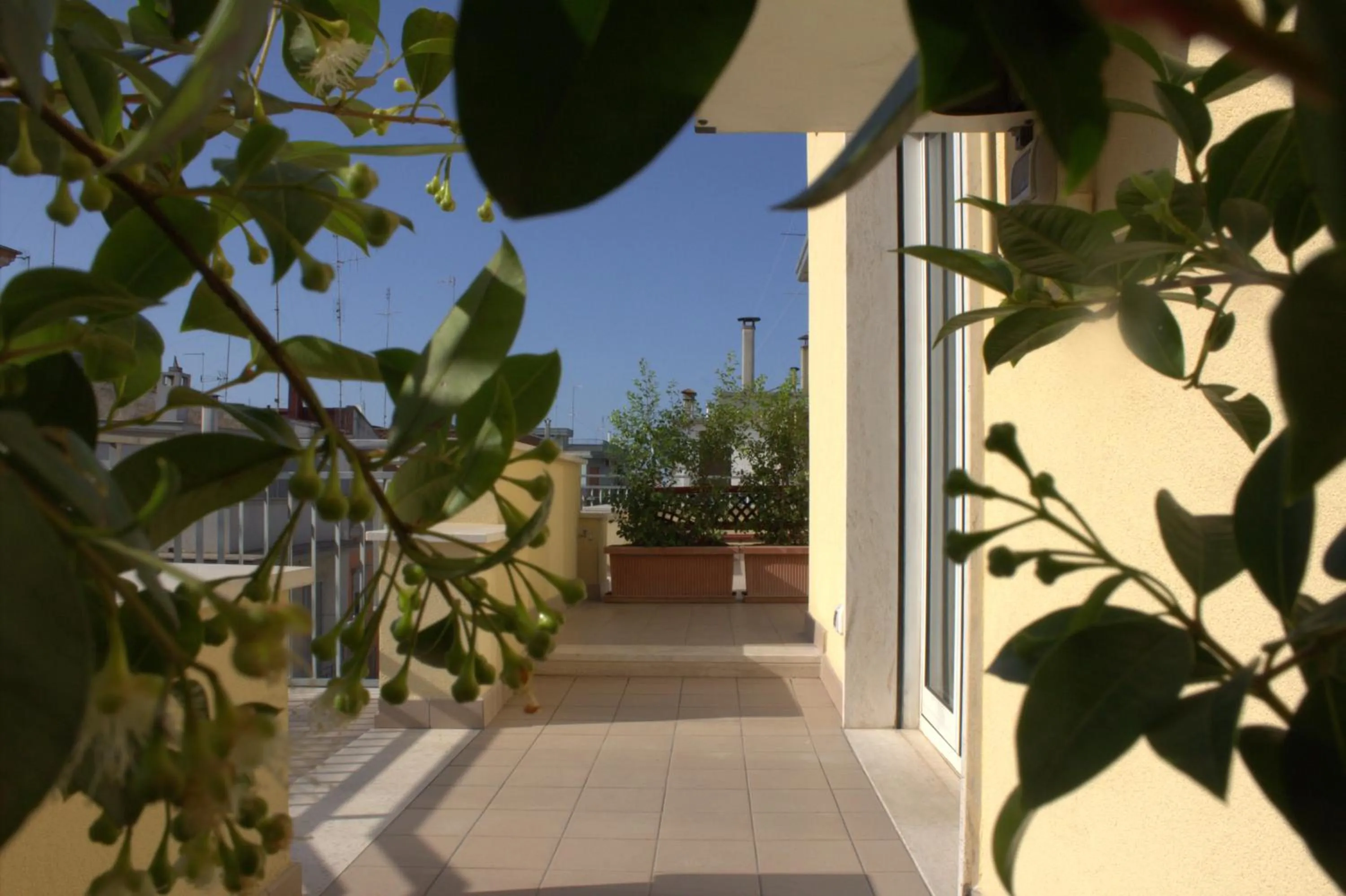 Property building in Bigarò