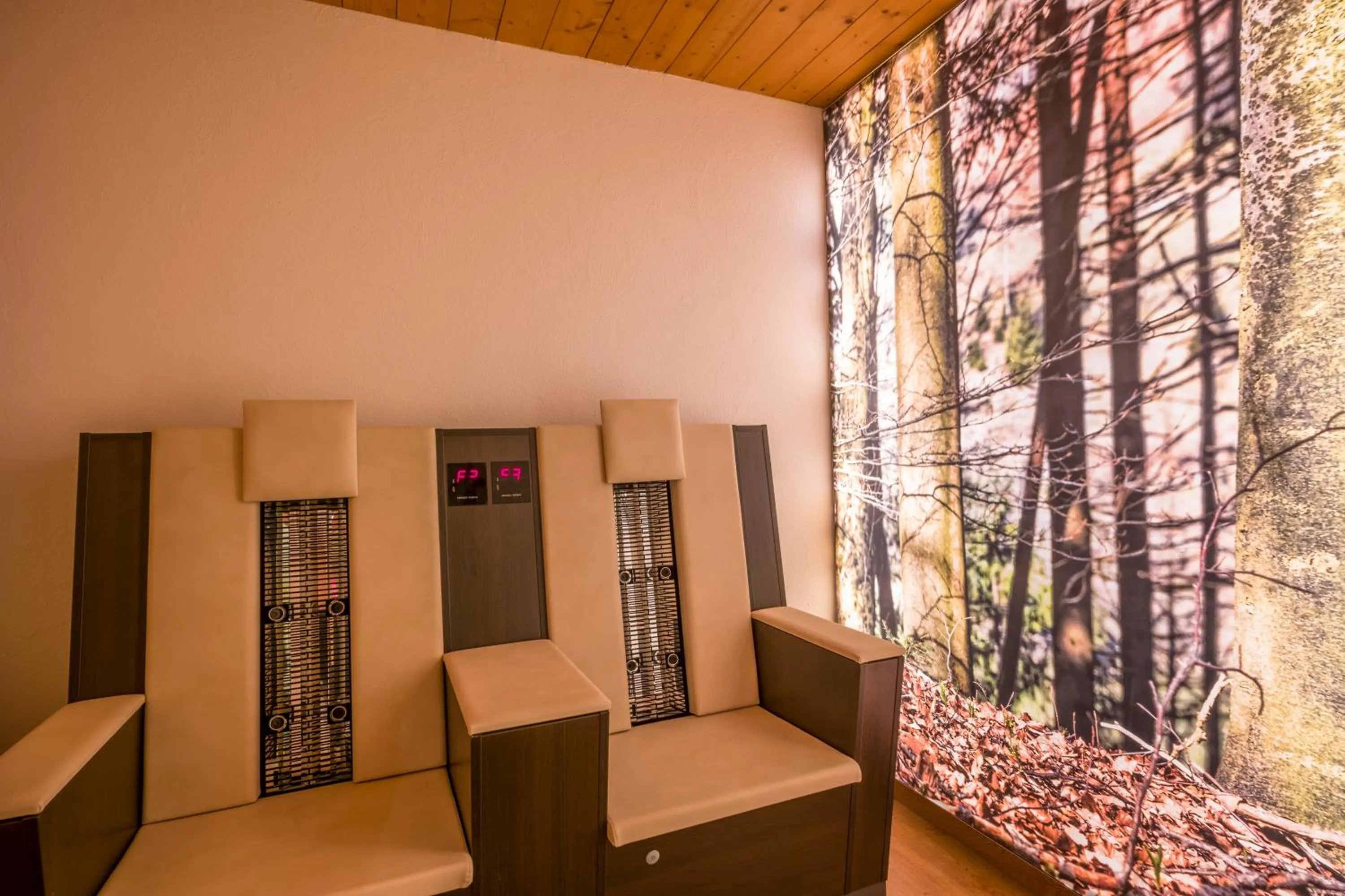 Spa and wellness centre/facilities in Hotel Landhaus Zillertal