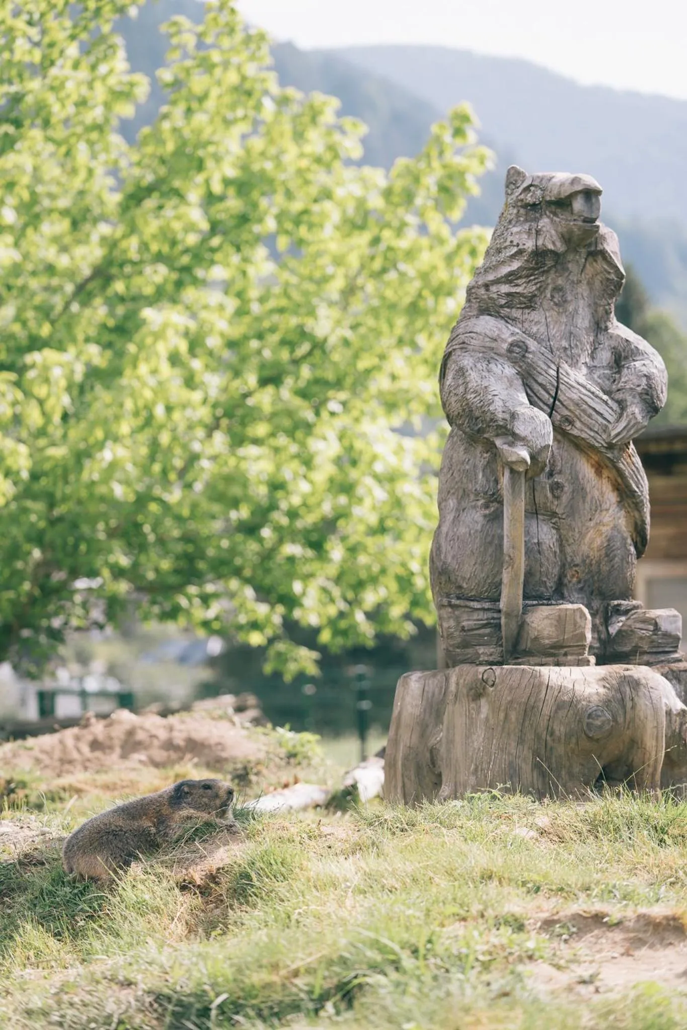 Children play ground in Der Kirchheimerhof - Superior