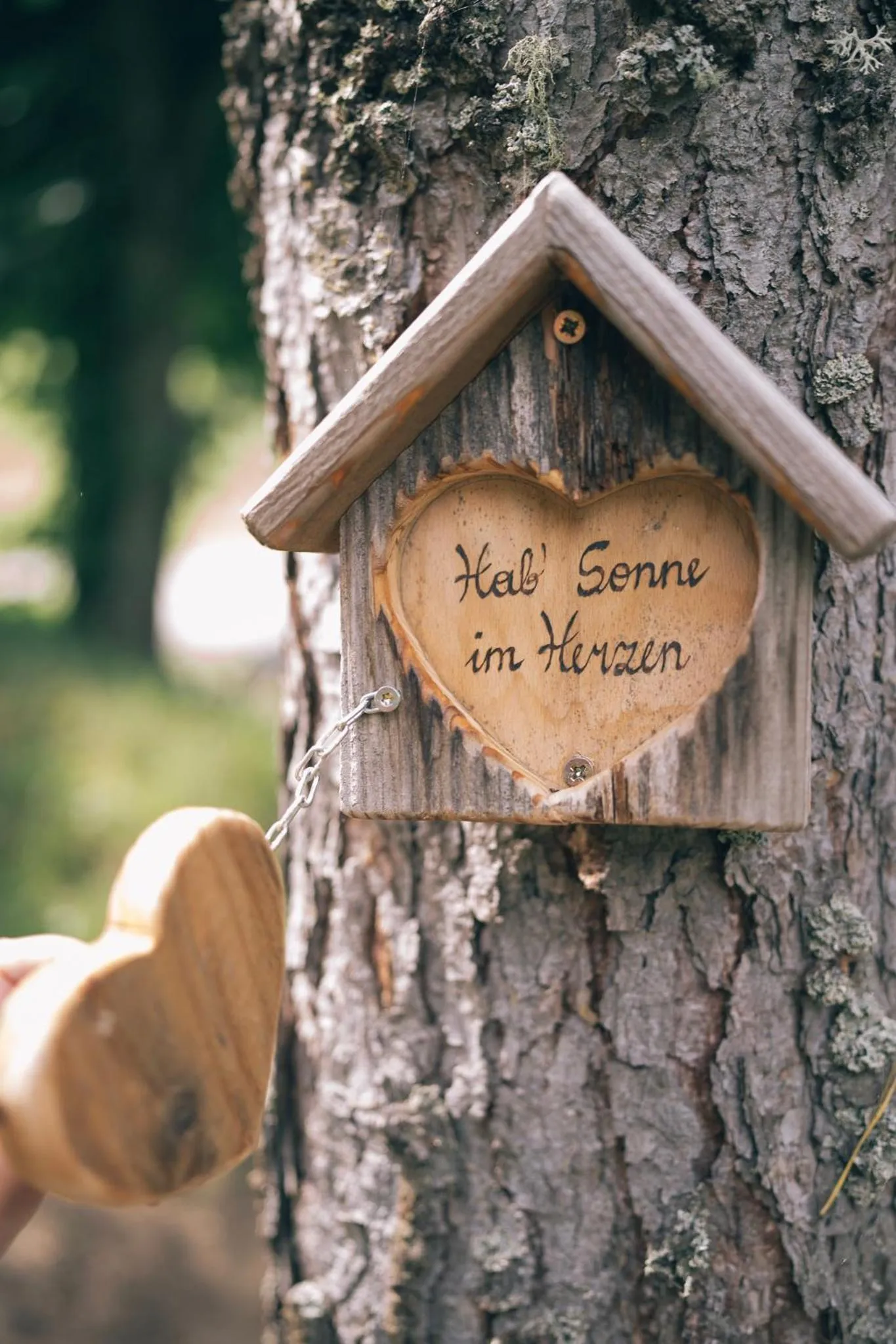 Natural landscape in Der Kirchheimerhof - Superior