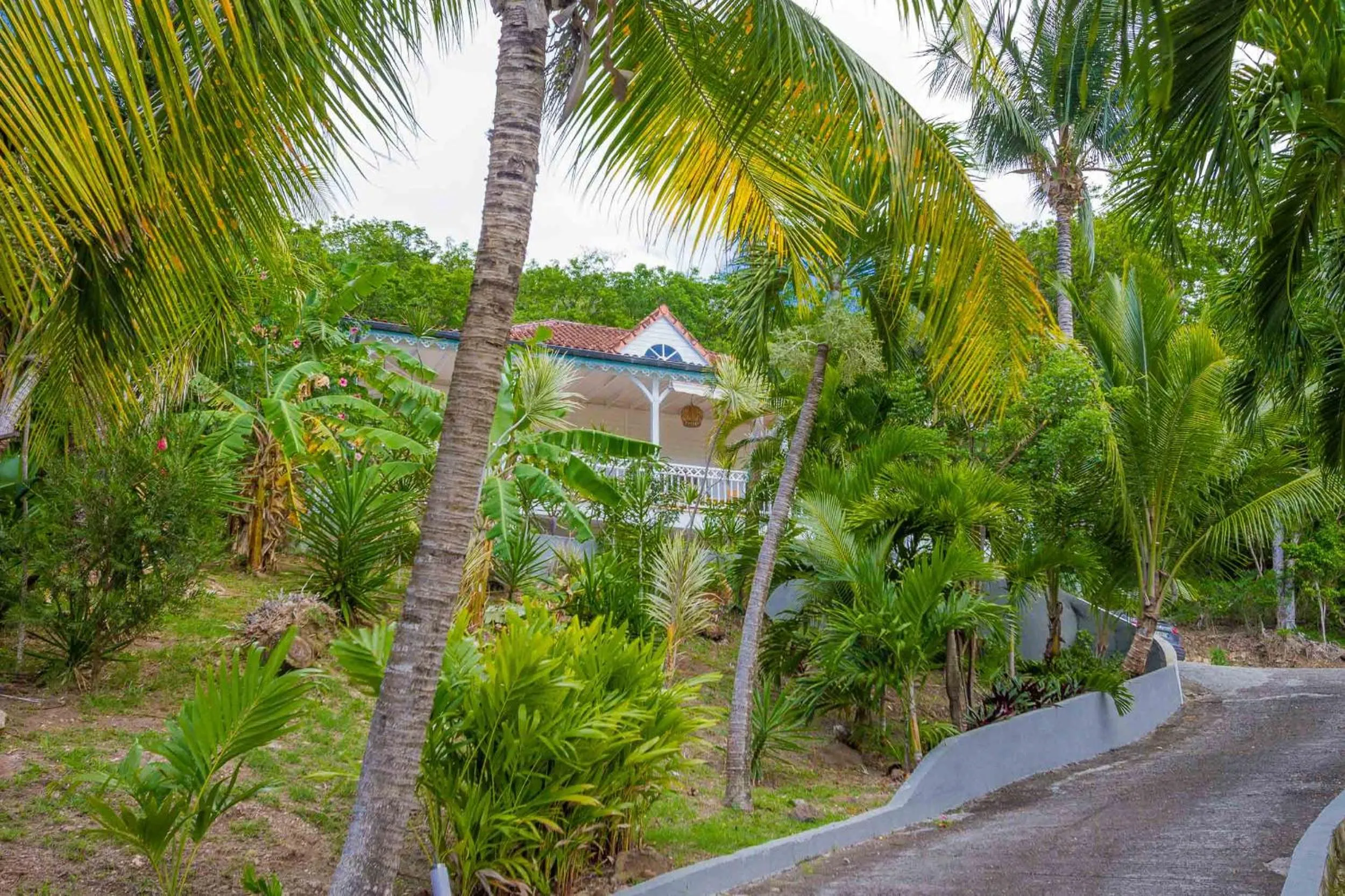 Garden in Carre Royal