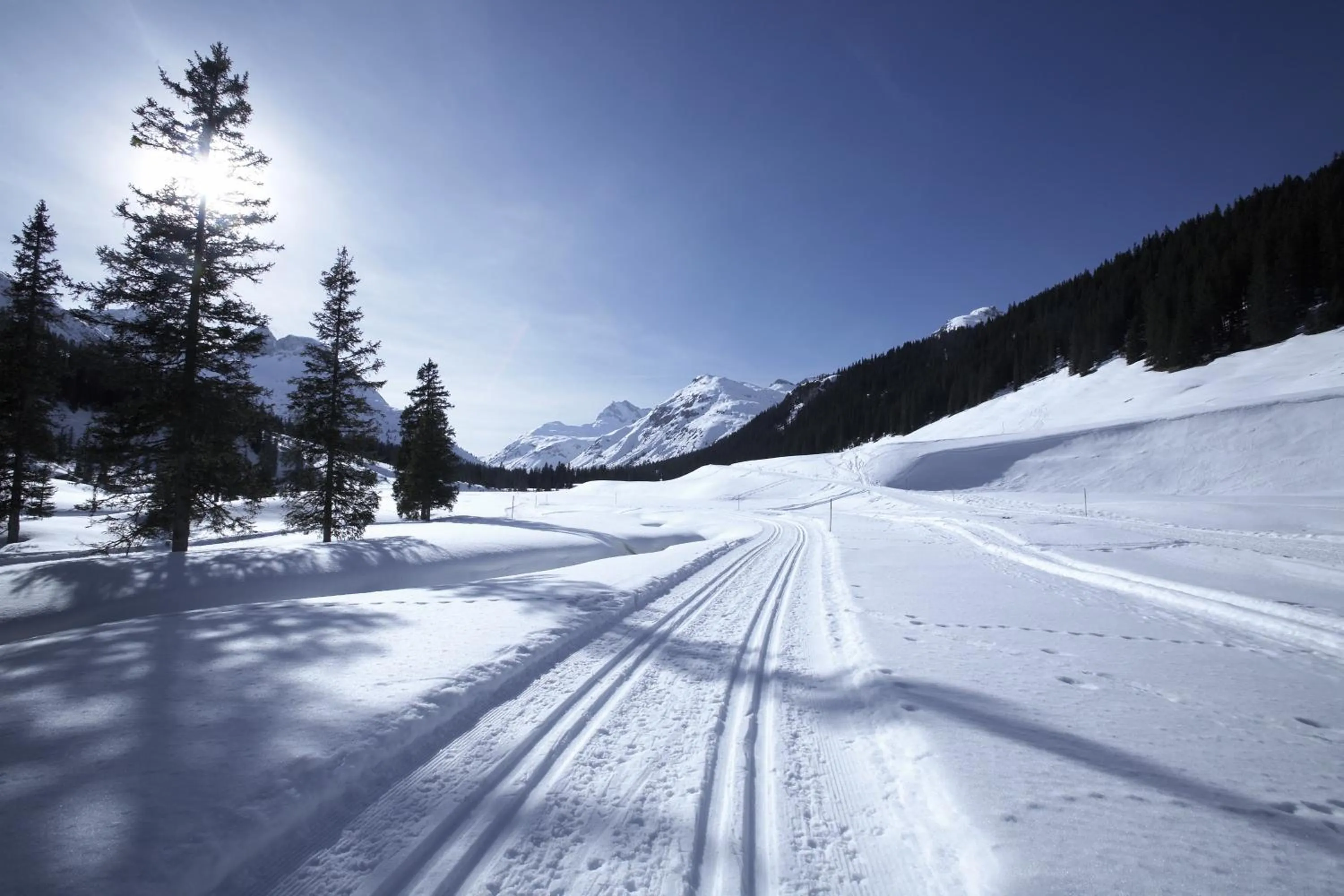 Natural landscape in ROBINSON ALPENROSE Zürs