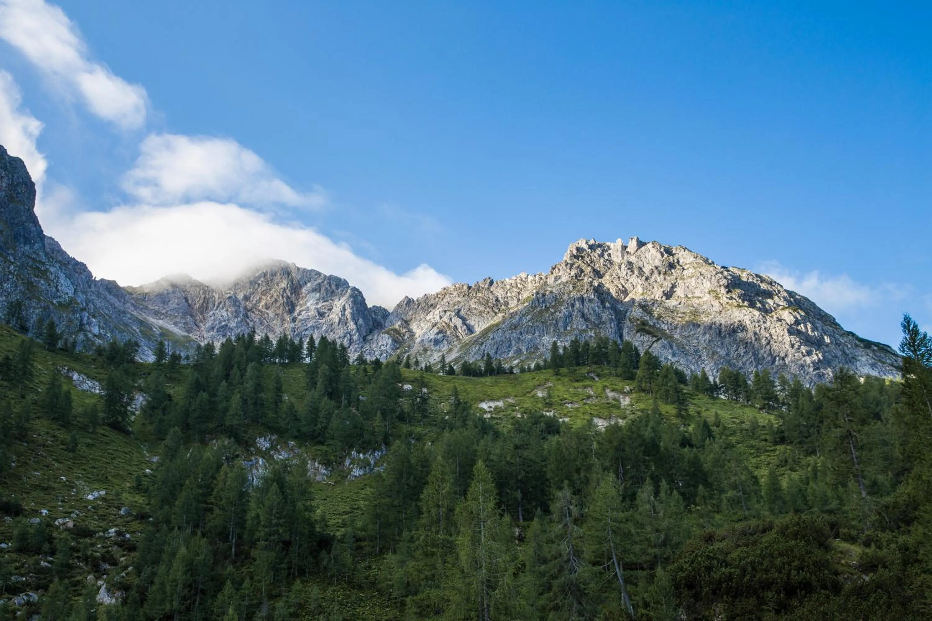 Natural landscape in ROBINSON AMADÉ