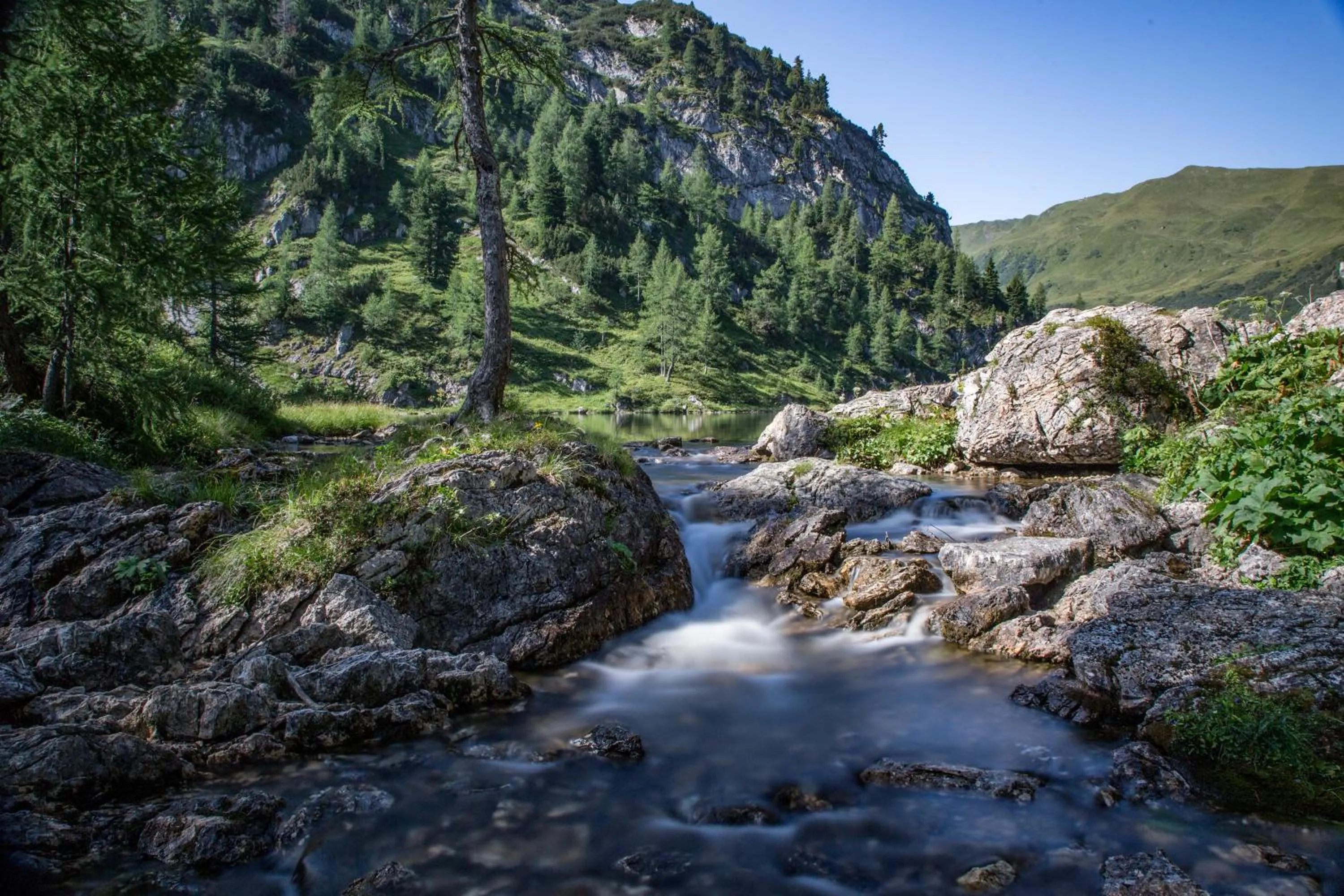 Natural landscape in ROBINSON AMADÉ
