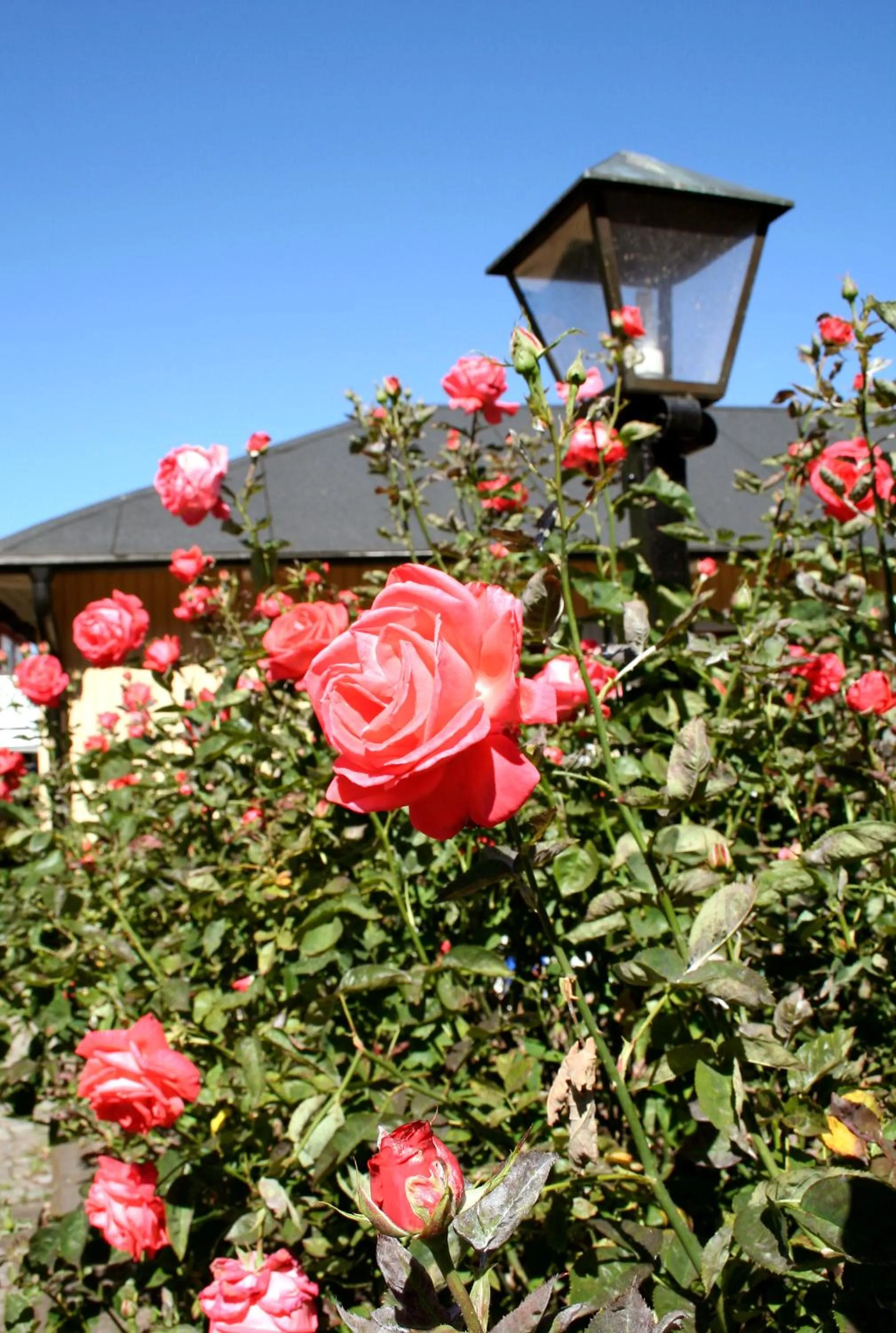 Bird's eye view in Slottshotellet