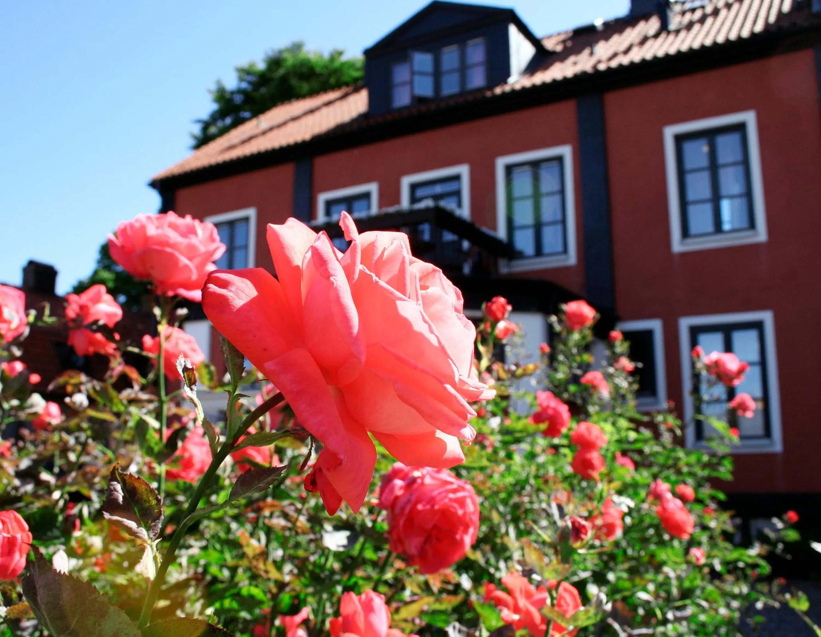 Facade/entrance in Slottshotellet
