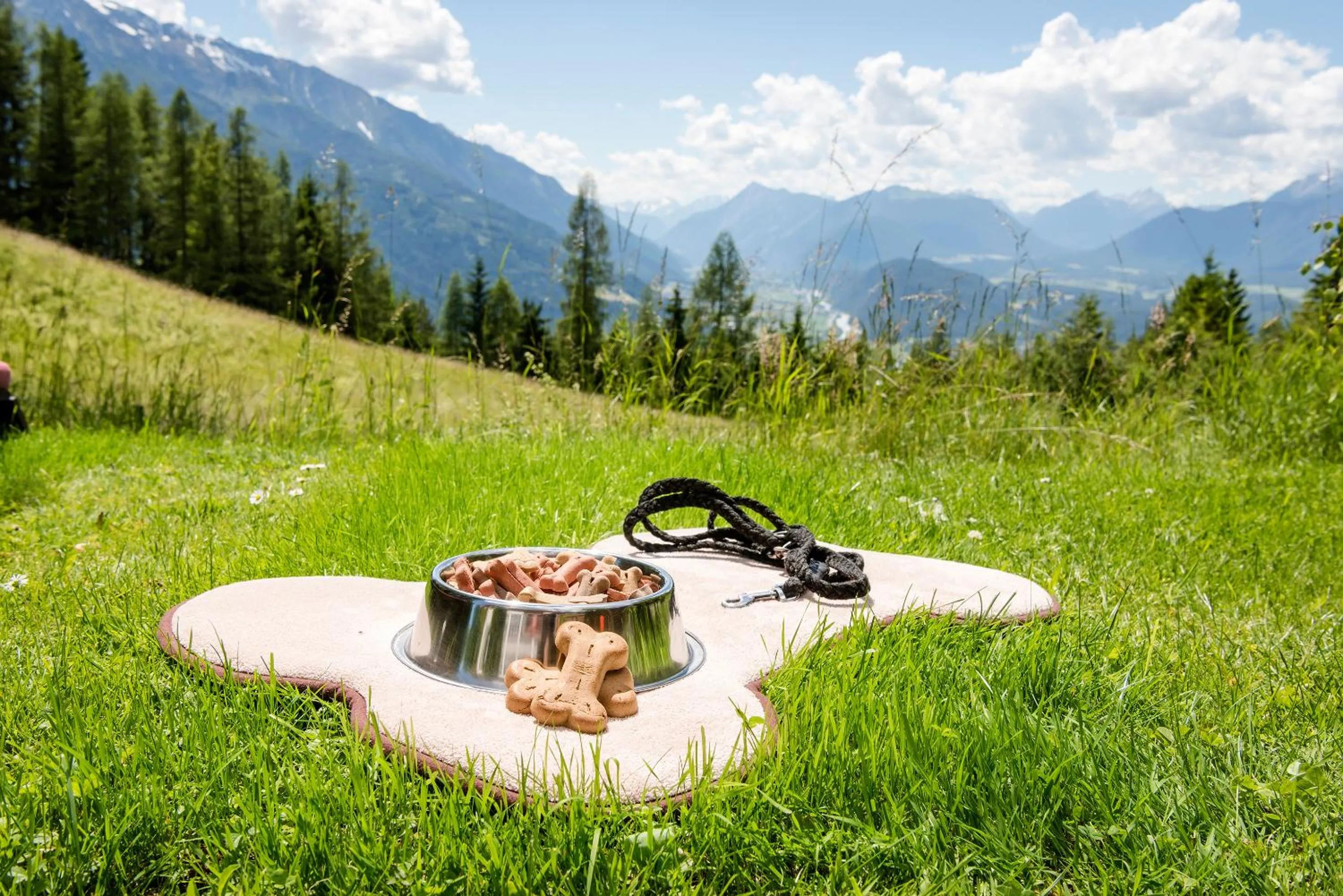 Pets in Inntaler Hof