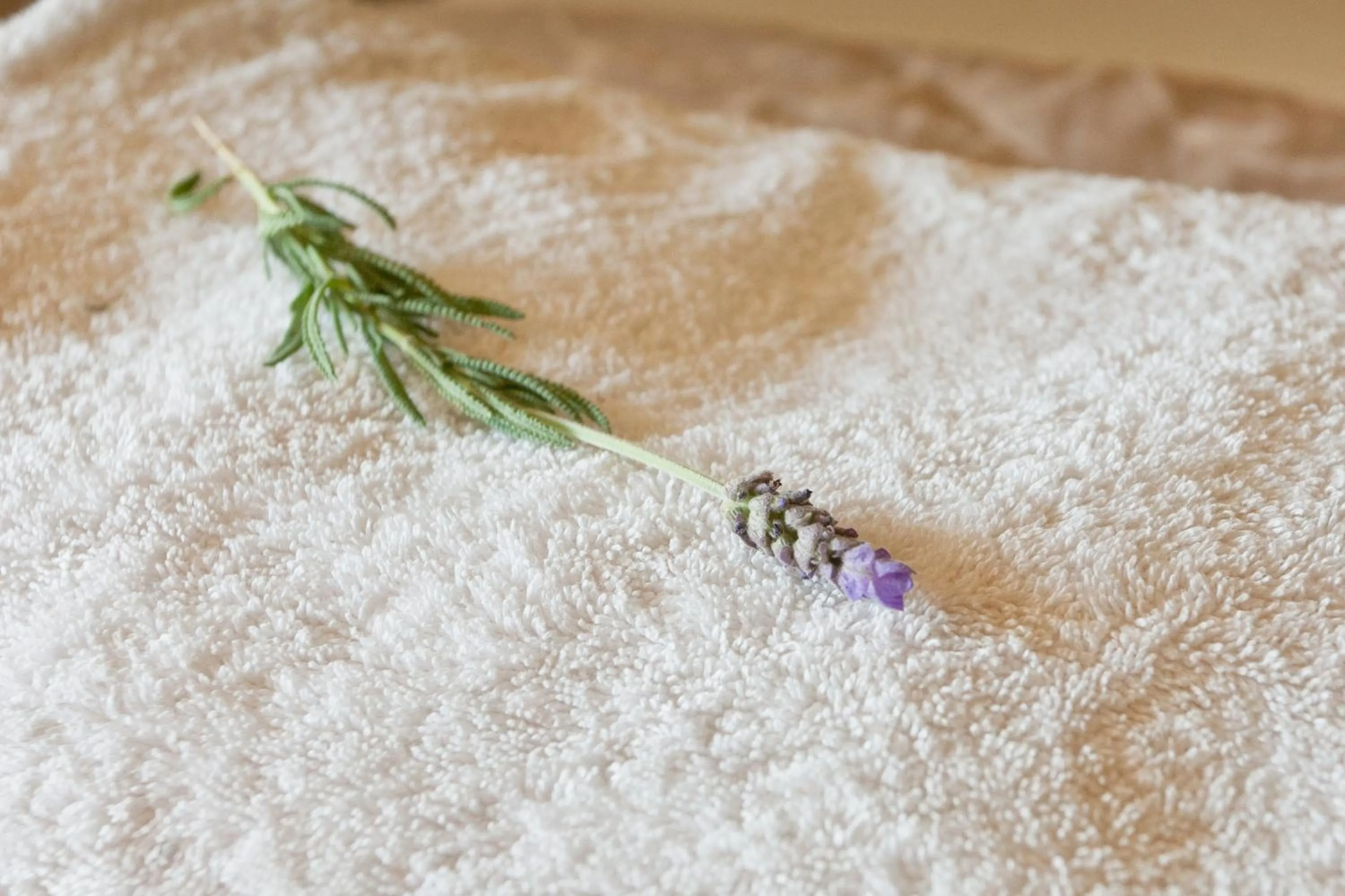 Decorative detail in Oue Werf Country House